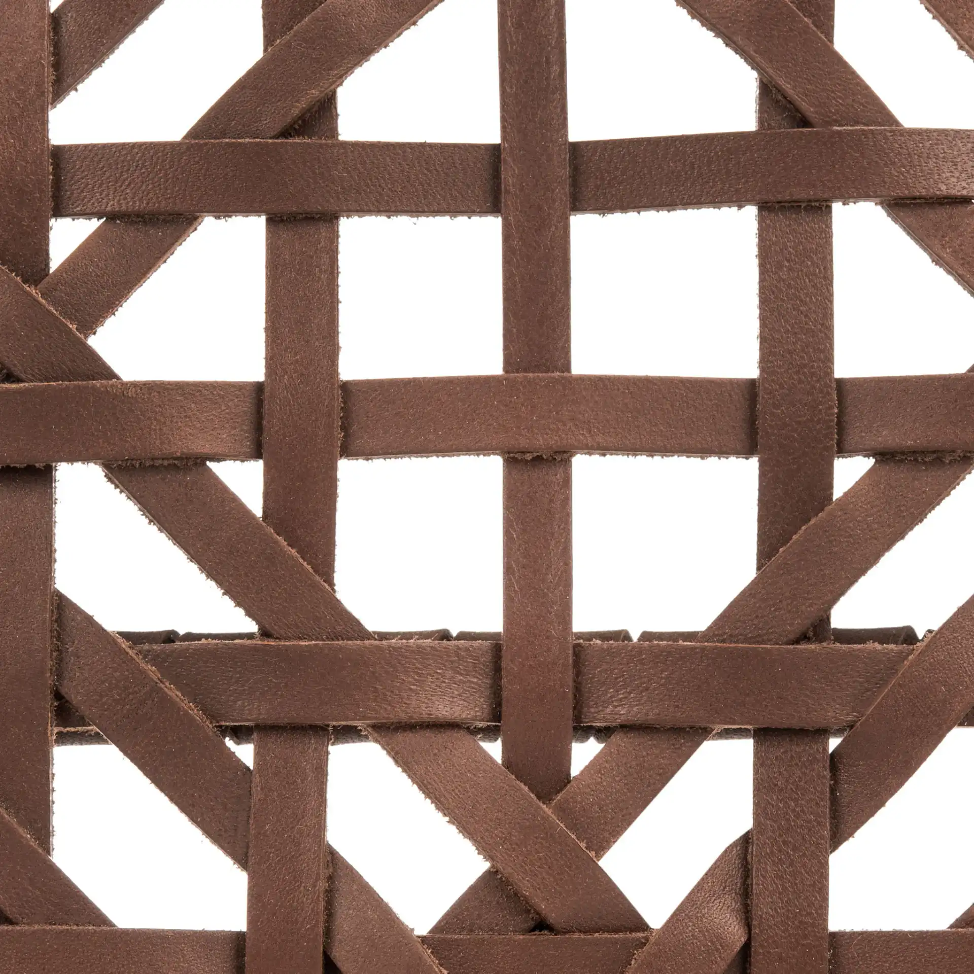Munro Leather Woven Accent Chair in Walnut / Cognac, detail view