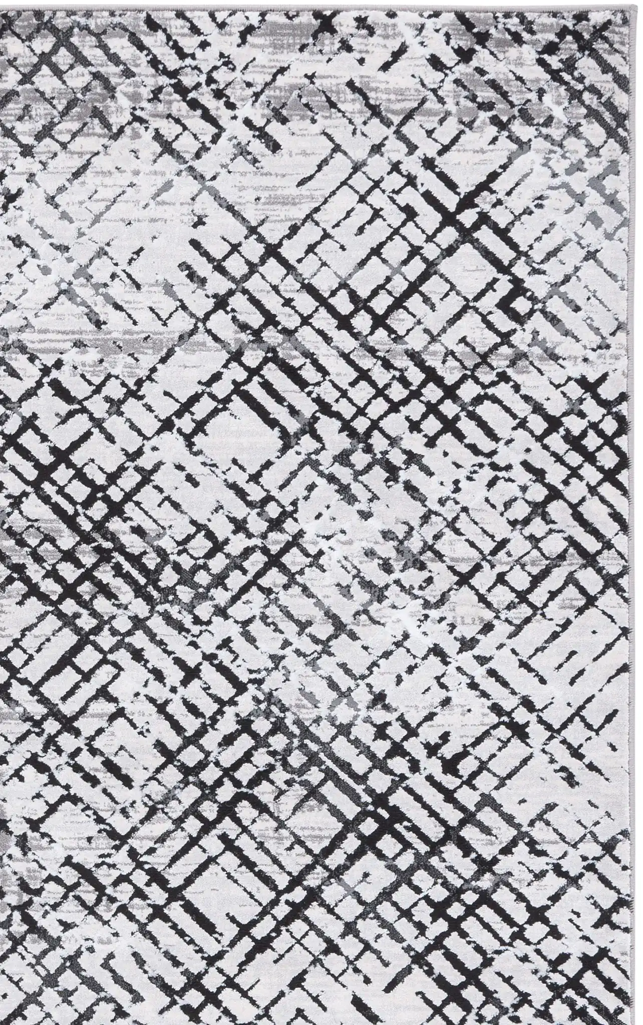 Gray / Charcoal