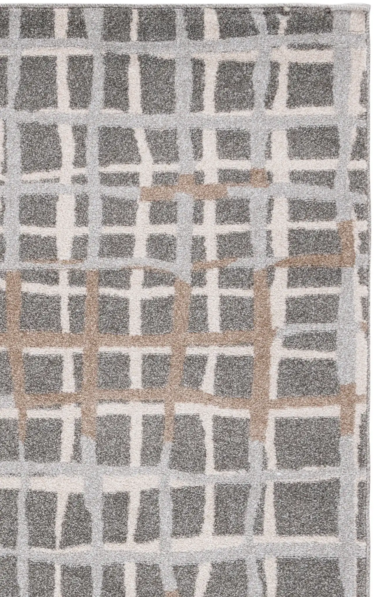 Gray / Ivory