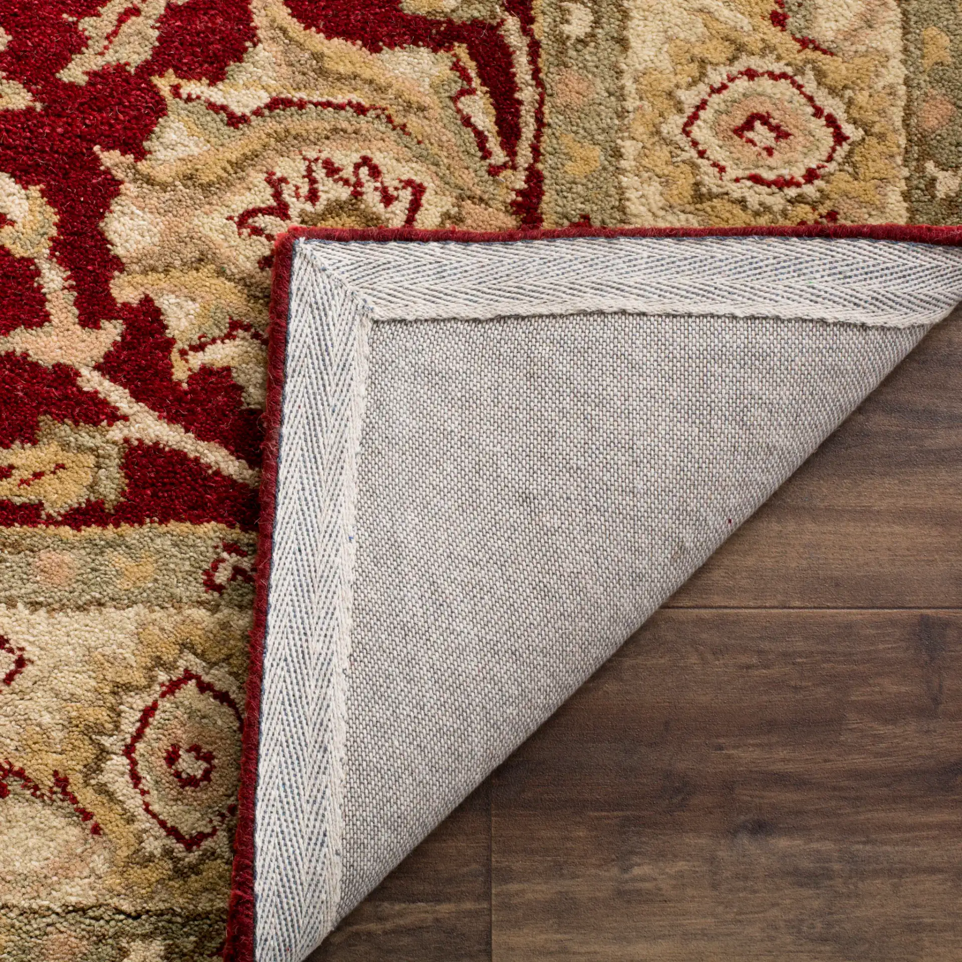 Antiquity Floral Border Hand-Tufted Wool Rug in Red / Gold in a styled room