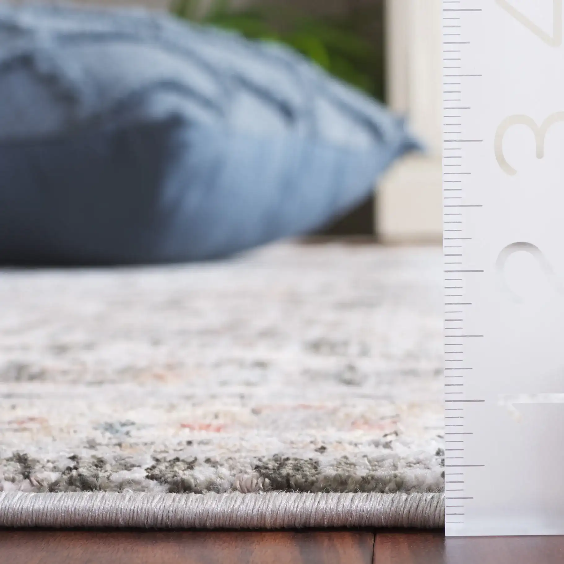 Artifact Bordered Floral Rug in Charcoal / Gray in a styled room