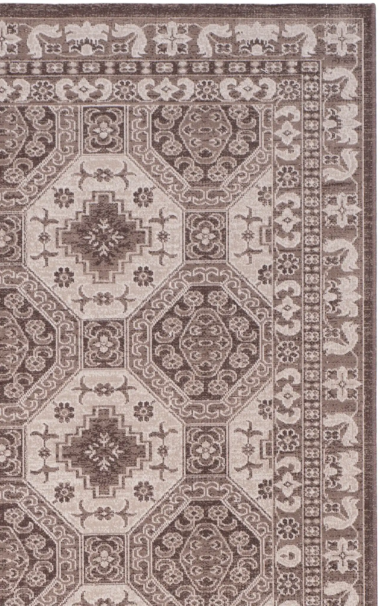 Brown / Ivory