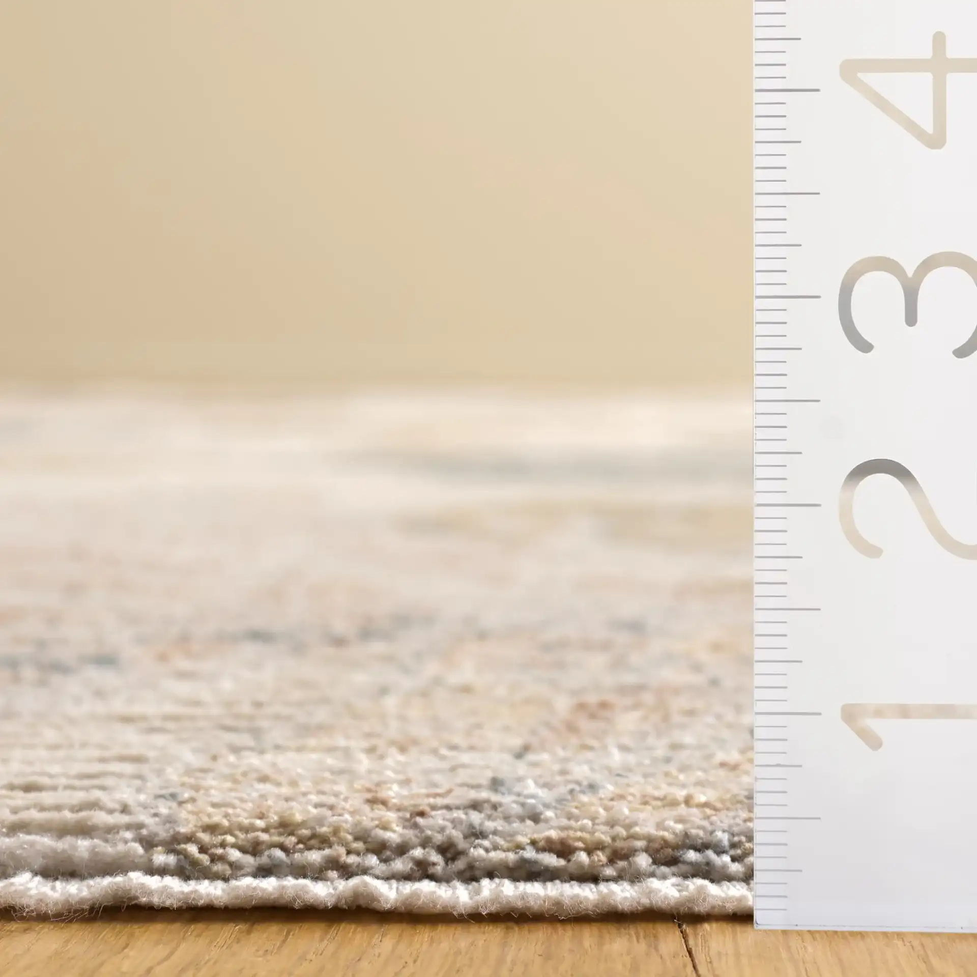 Bloom Transitional Floral Rug in Ivory / Beige in a styled room