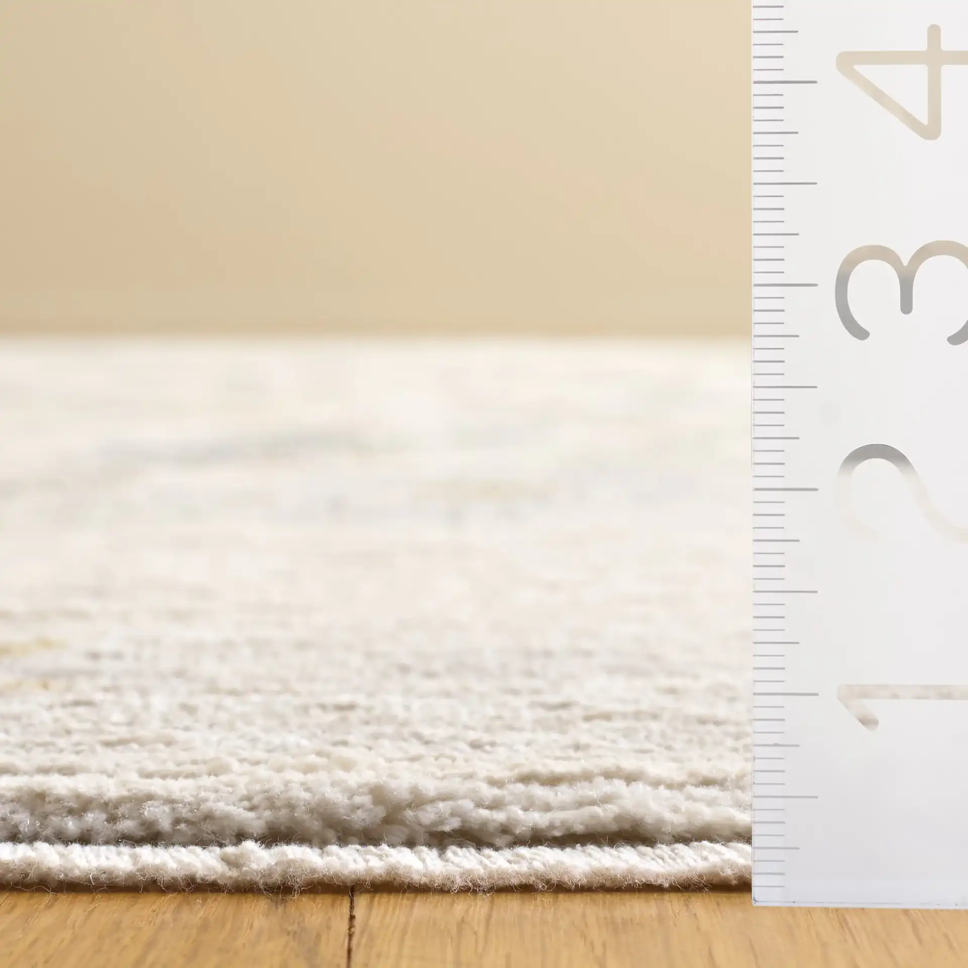 Bloom Traditional Floral Rug in Ivory / Light Gray in a styled room