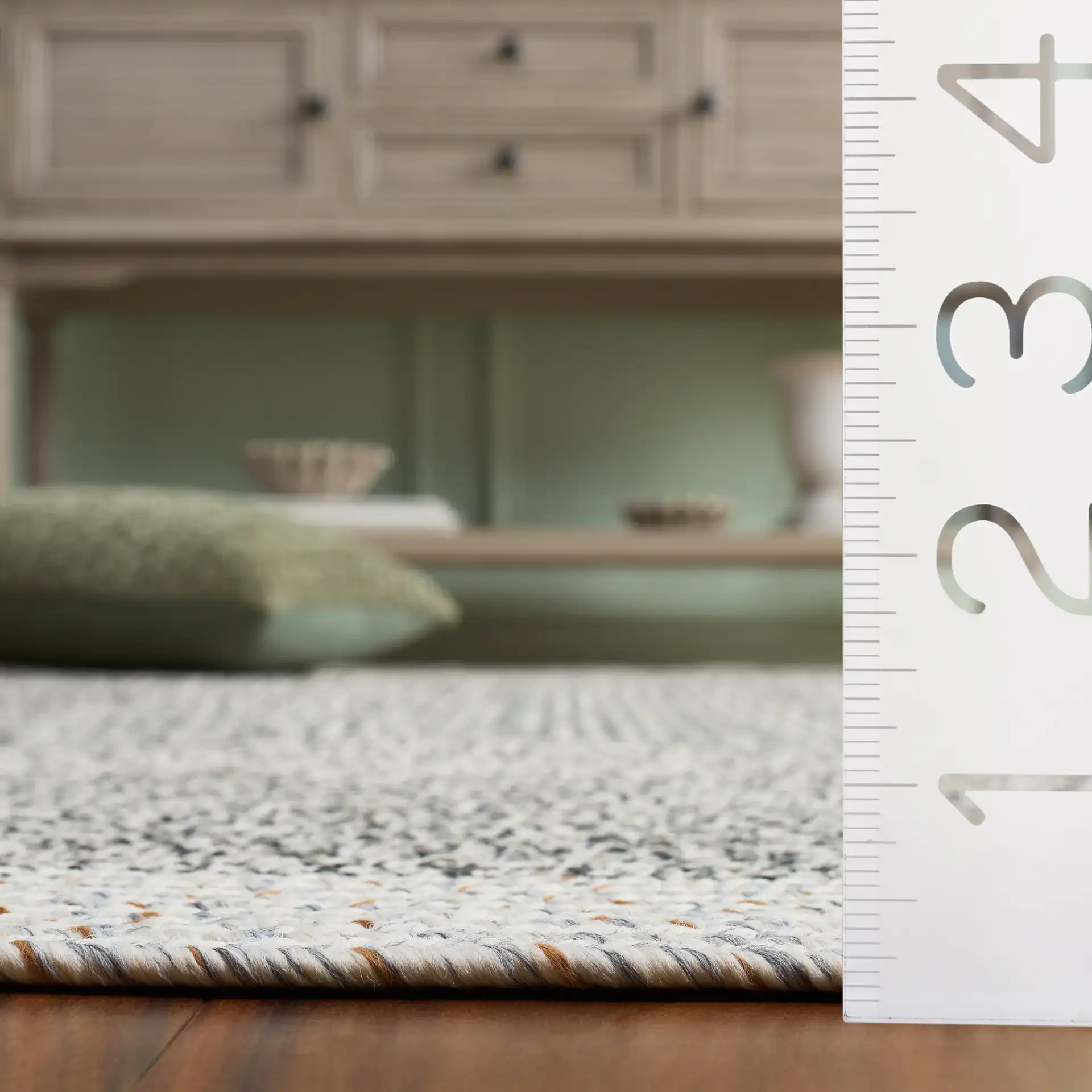 Braided Transitional Border Washable Outdoor Rug in Ivory / Gray Black in a styled room