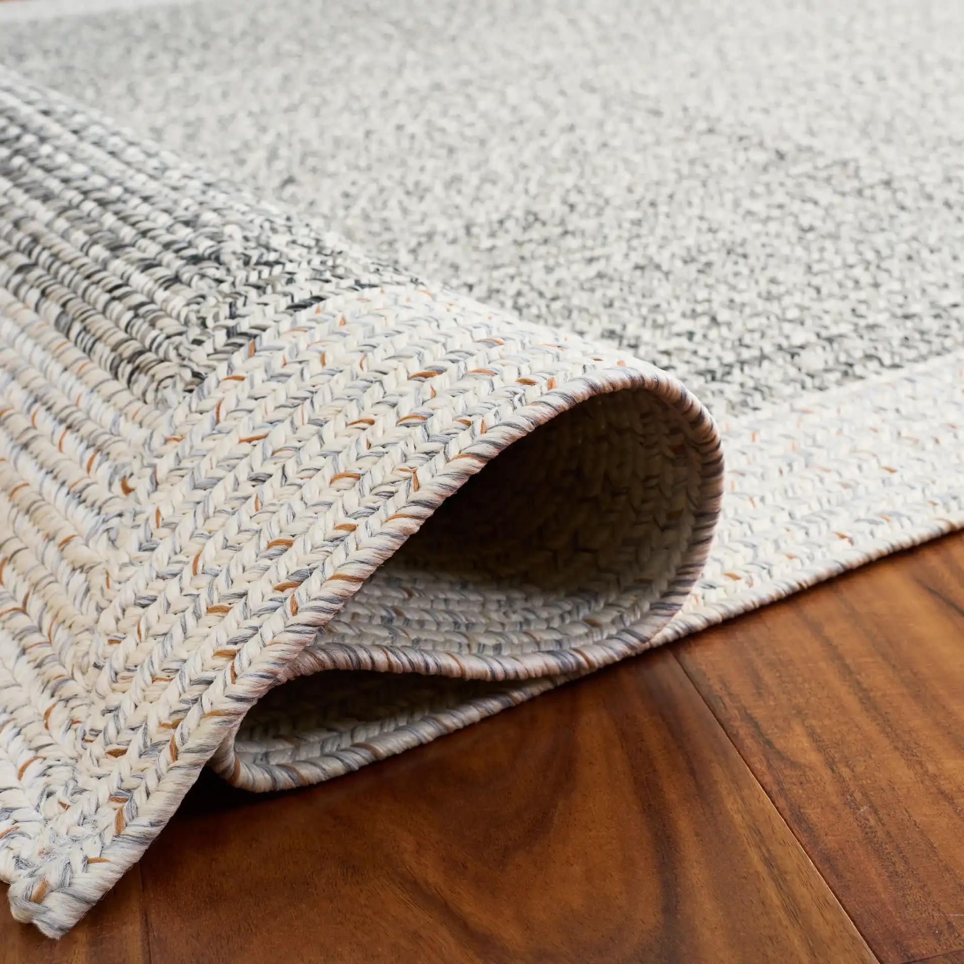 Braided Transitional Border Washable Outdoor Rug in Ivory / Gray Black in a styled room