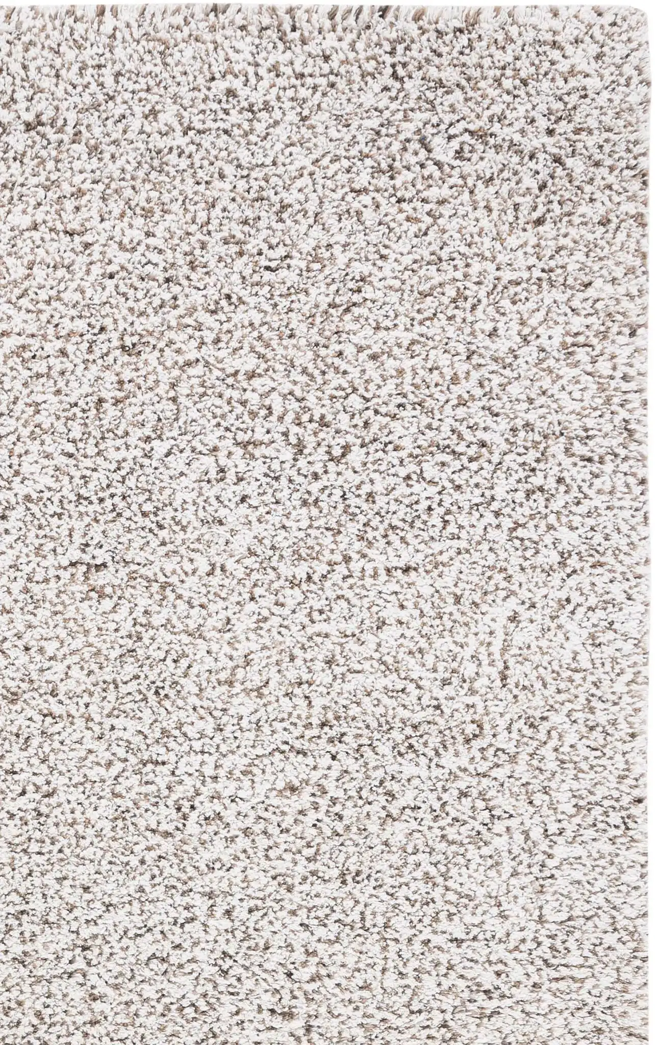 Ivory / Brown