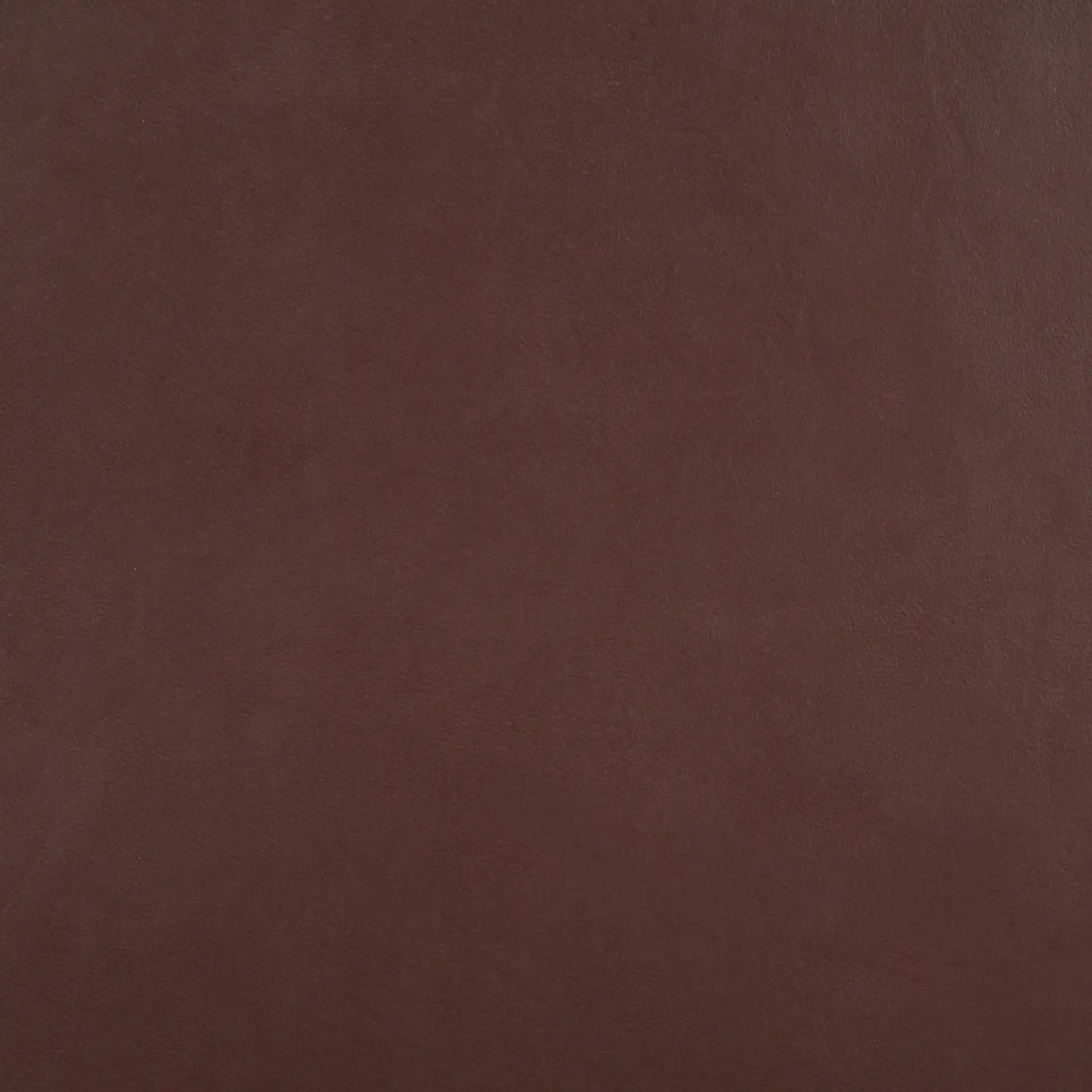 Arian Counter Stool in Cognac / Natural, detail view
