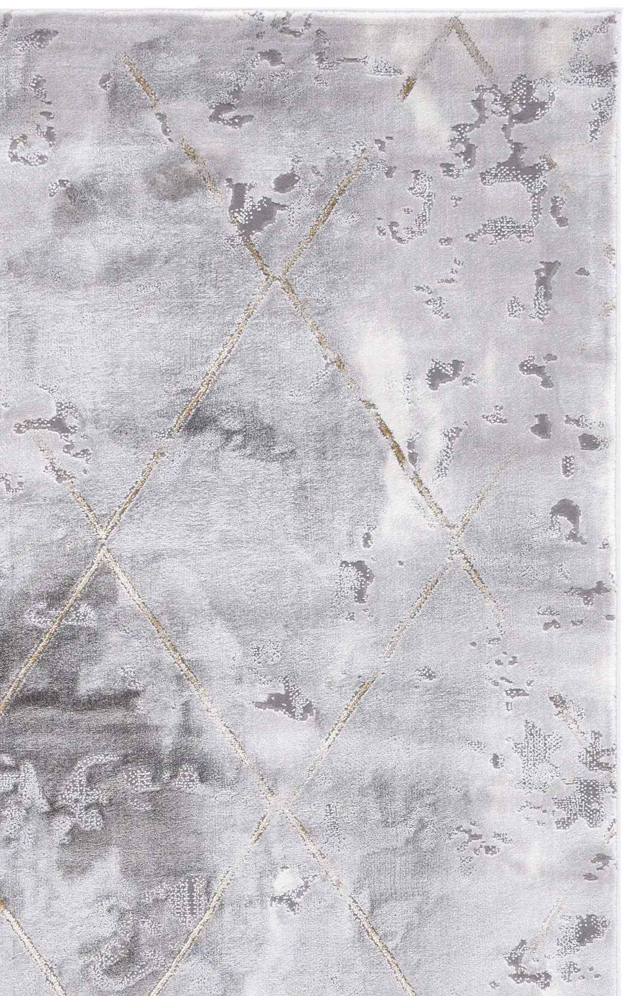 Gray / Gold