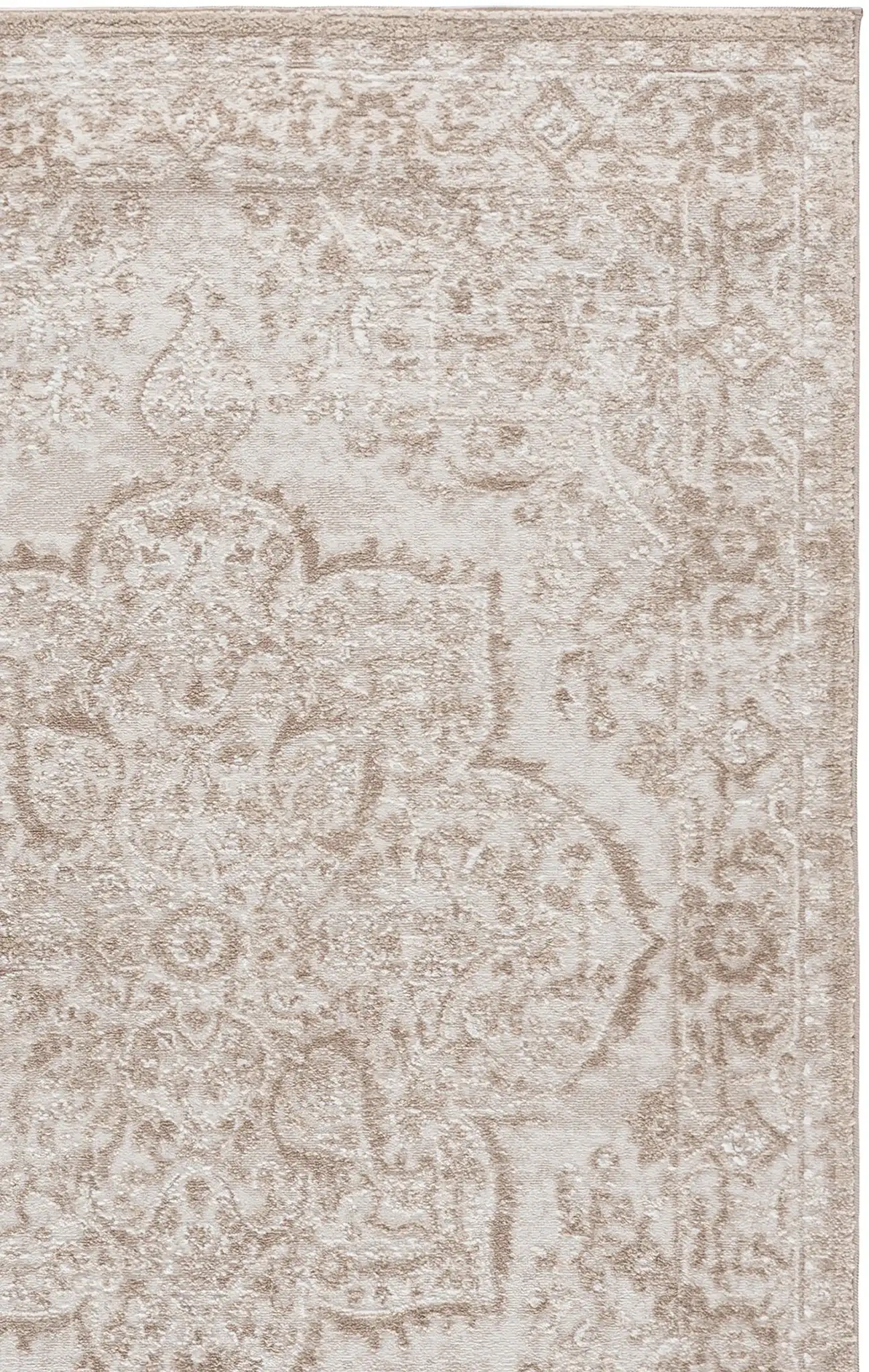 Ivory / Light Beige