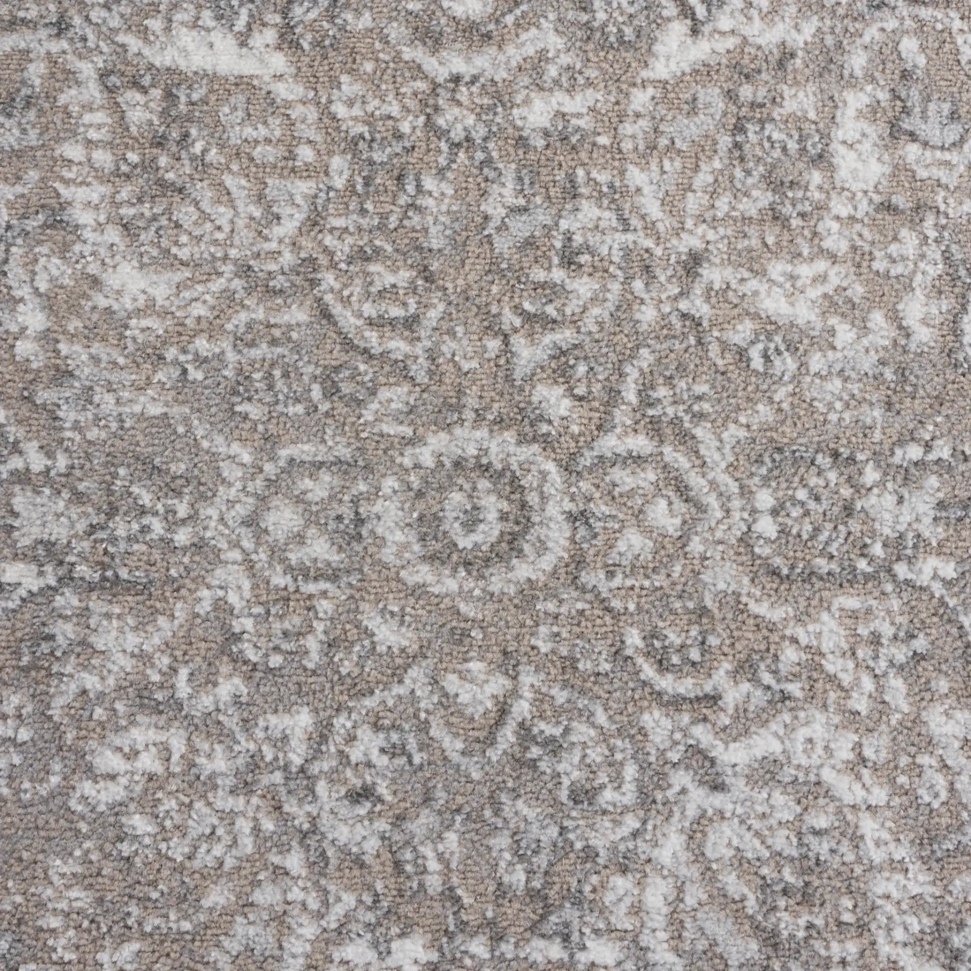 Chamber Medallion Bordered Rug in Beige / Gray Ivory in a styled room
