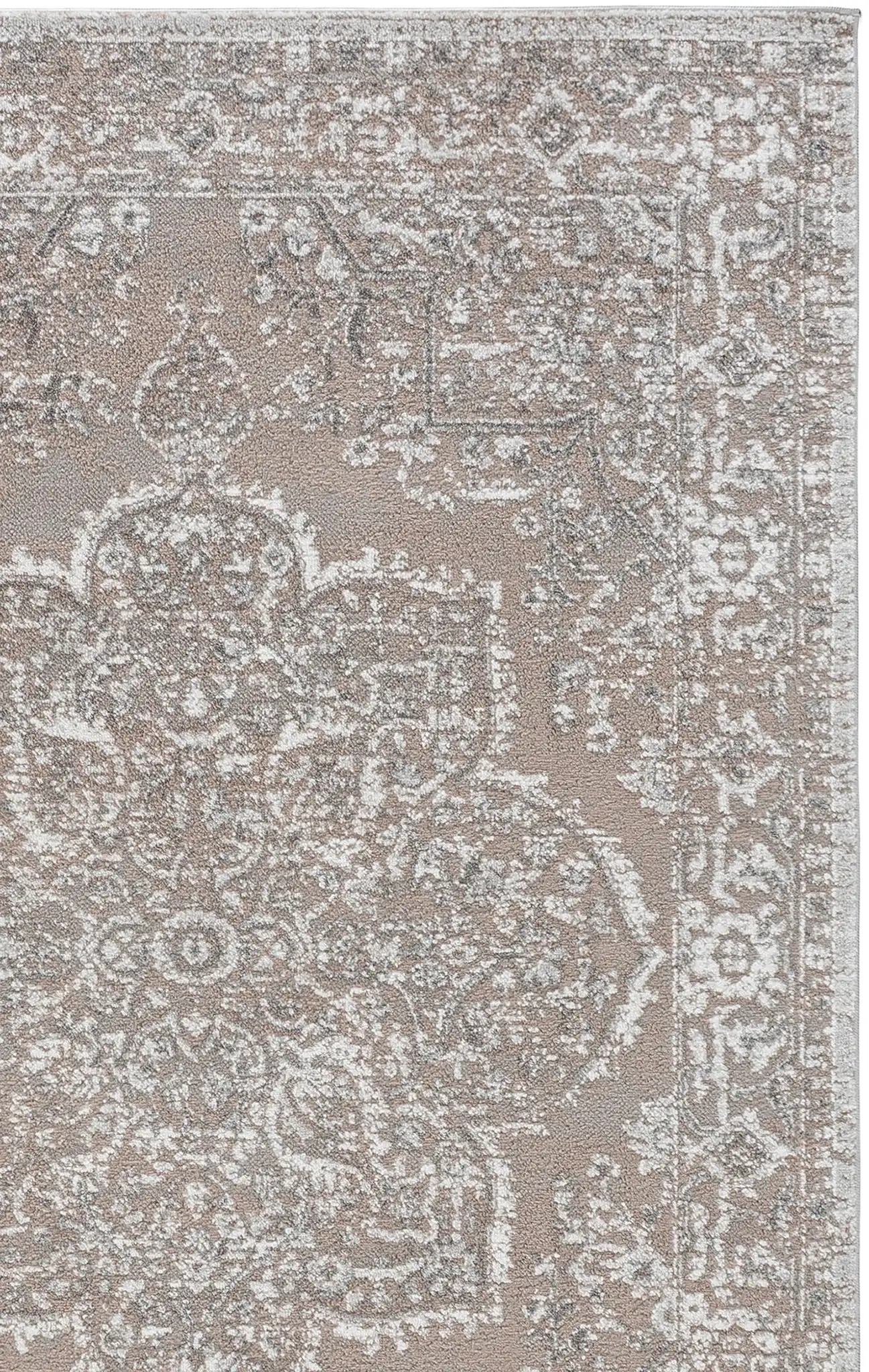 Beige / Gray Ivory