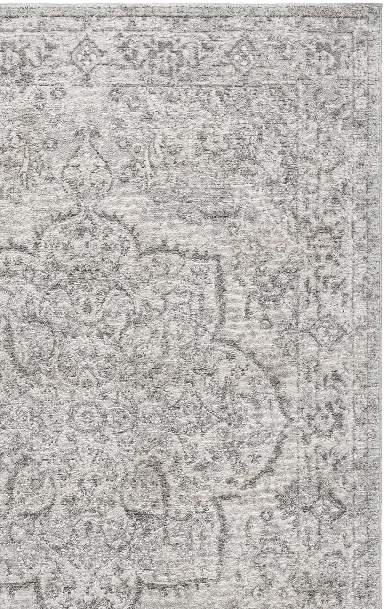 Light Gray / Ivory