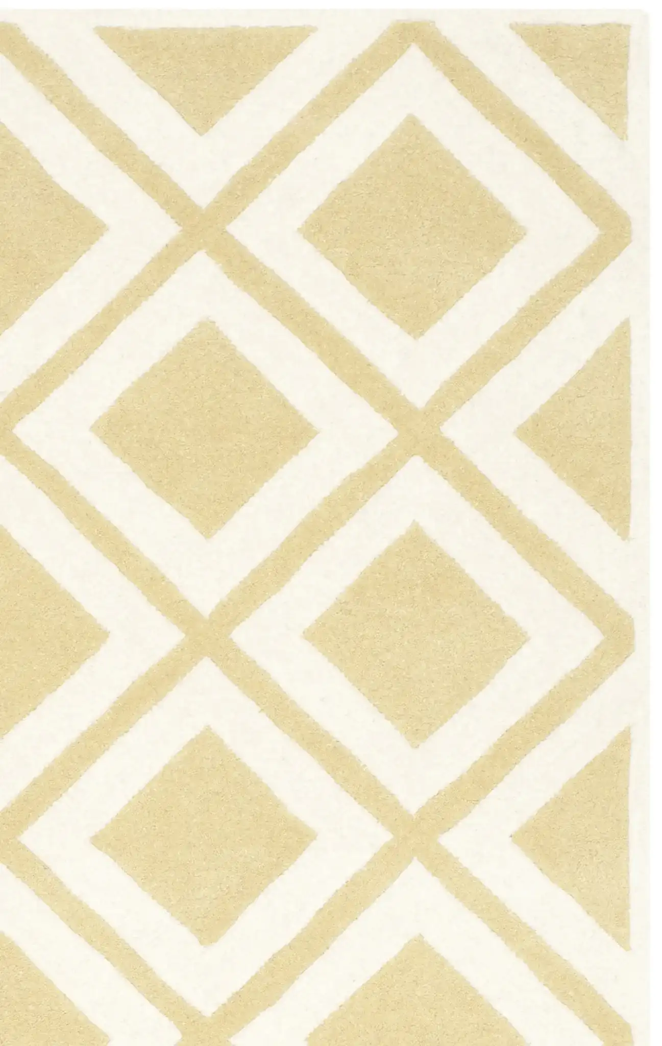 Gold / Ivory