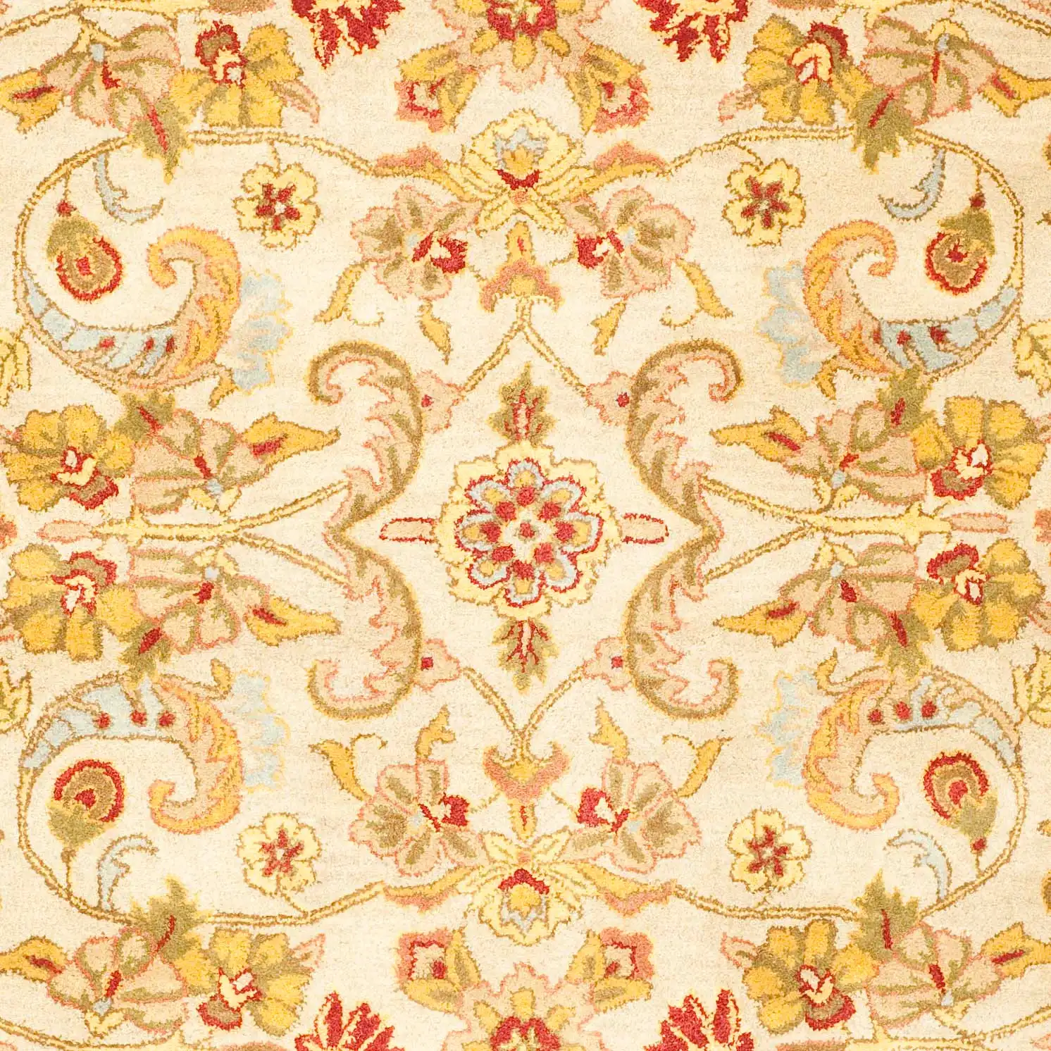 Classic Traditional Scroll Bordered Hand-Tufted Wool Rug in Gray / Light Gold in a styled room