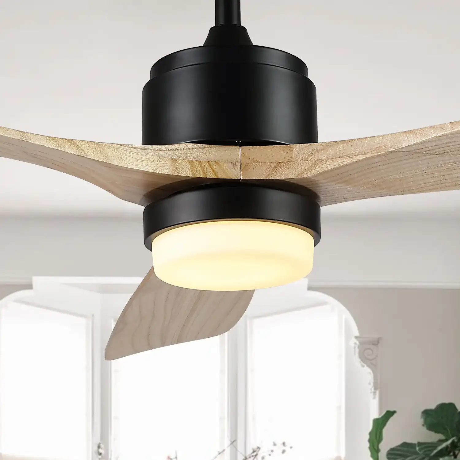 Vencin Ceiling Fan in Black in a styled room