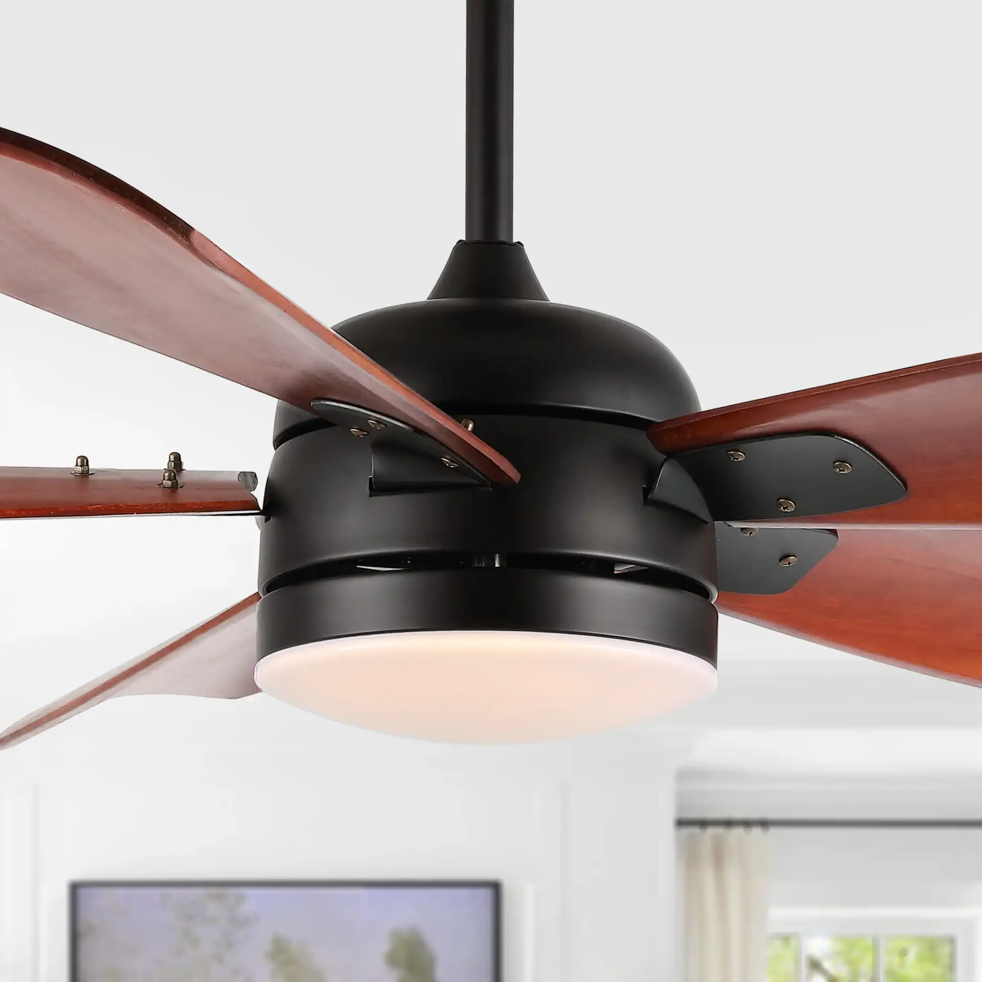 Durden Led Ceiling Fan in Black in a styled room