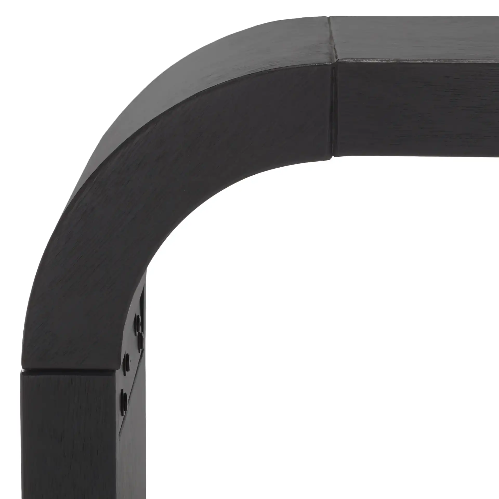 Liasonya Curved Console Table in Black in a styled room