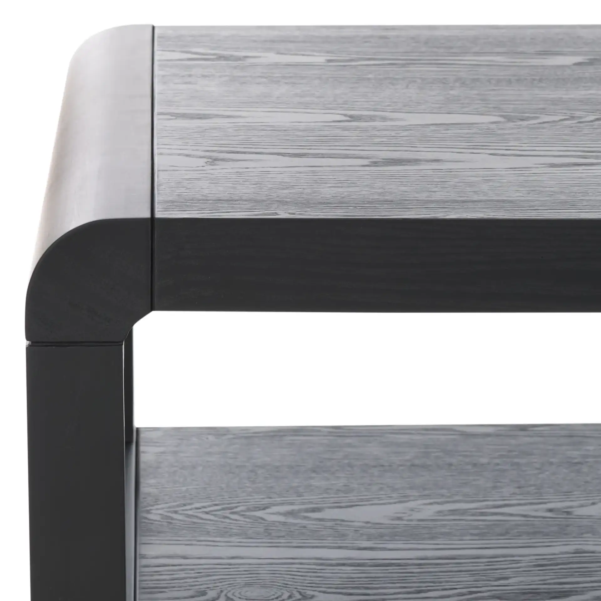 Omara One-Shelf Coffee Table in Black in a styled room