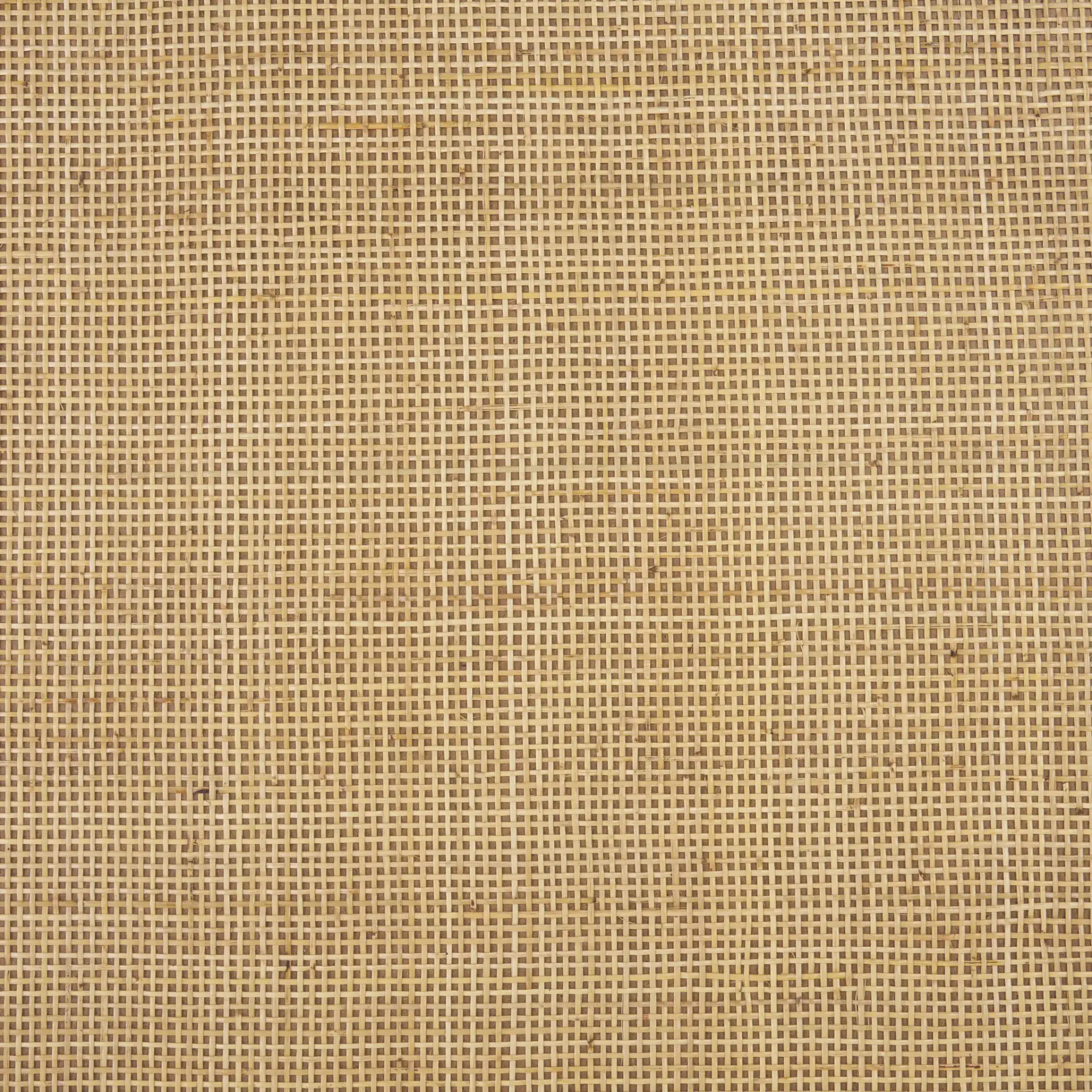 Althea Coffee Table in Natural, detail view