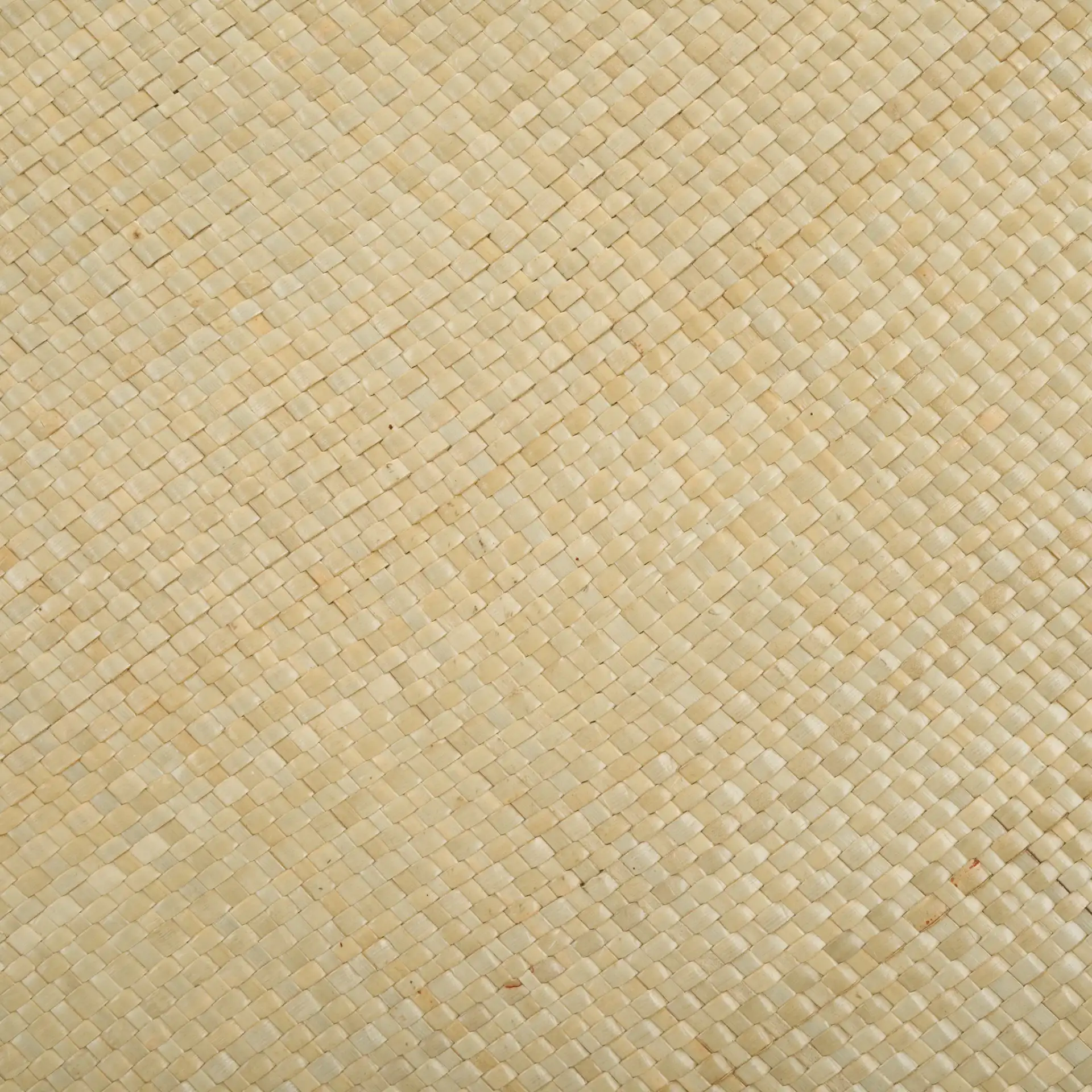 Apis Raffia Coffee Table in Natural, detail view