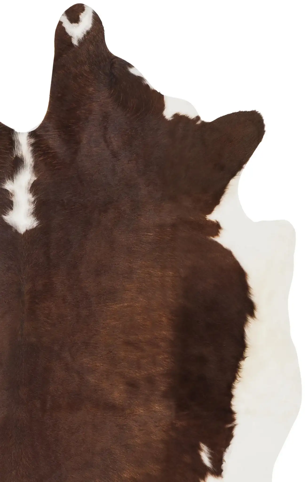 Brown / White