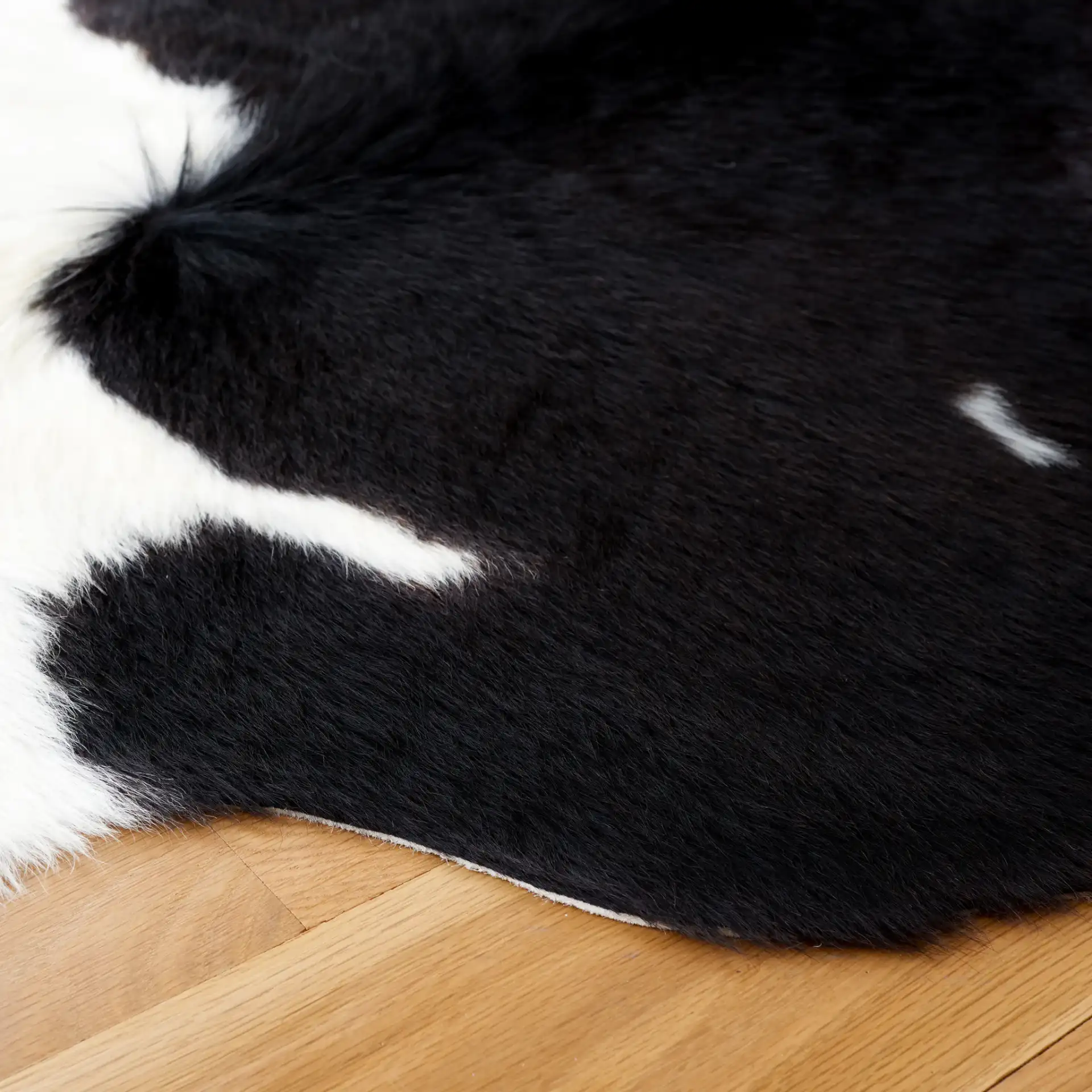 Cowhide Solid Shaped Rug in Black / White in a styled room