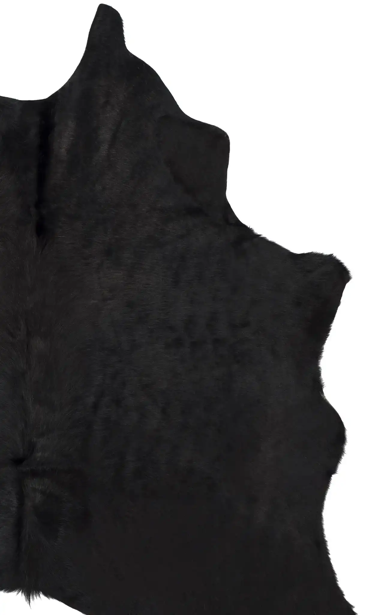 Black / Brown