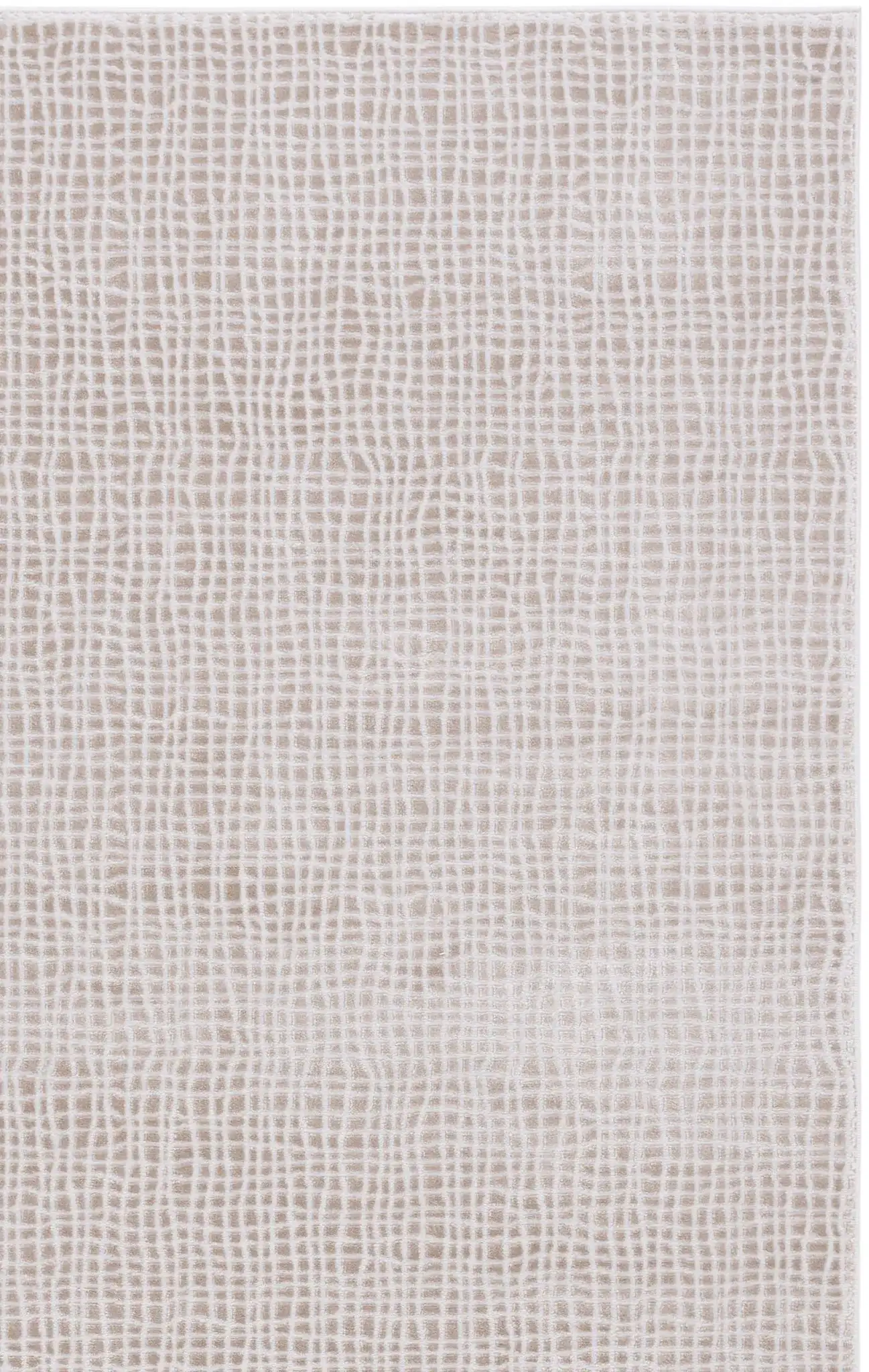 Beige / Gray