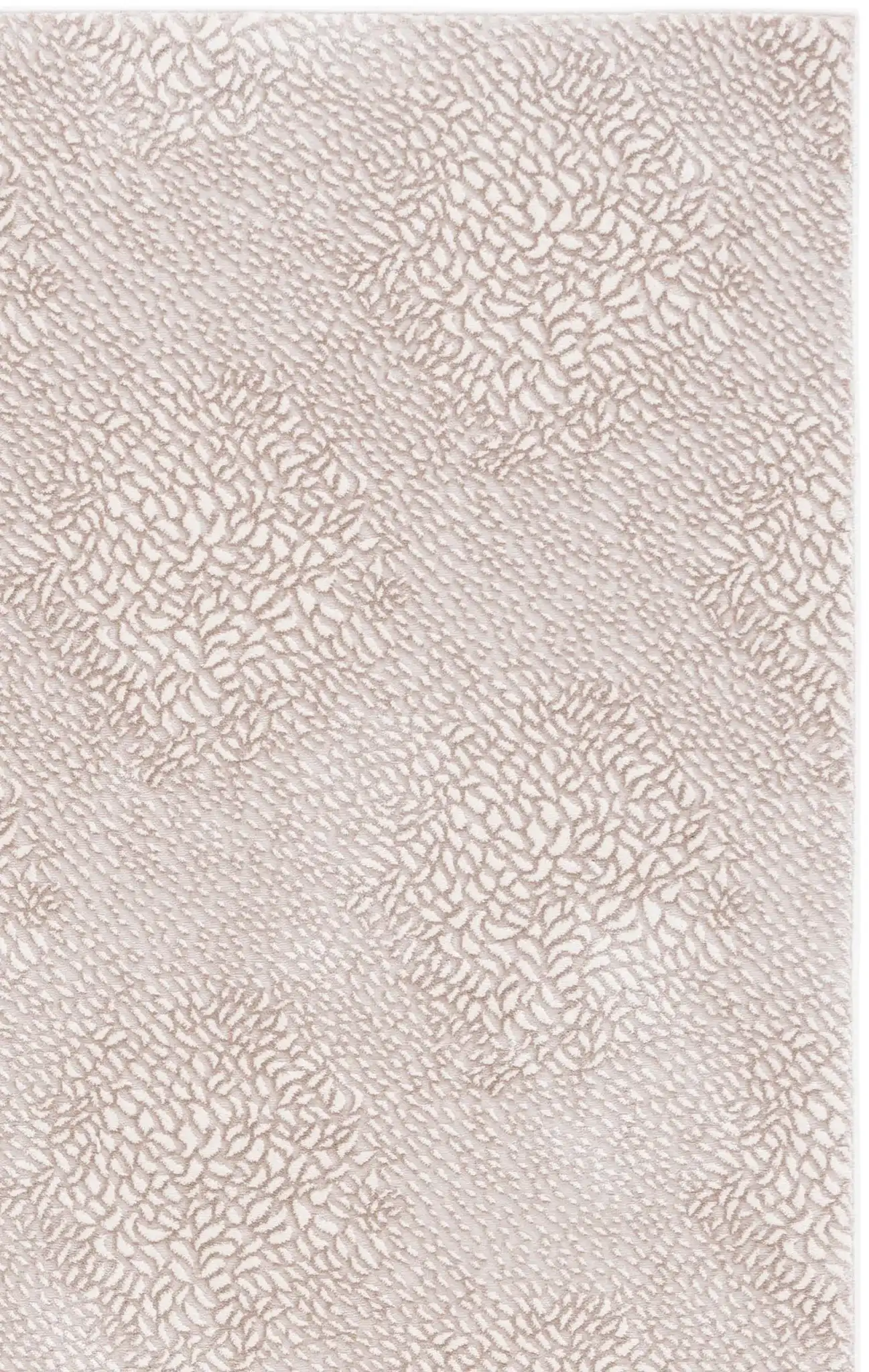 Ivory / Beige
