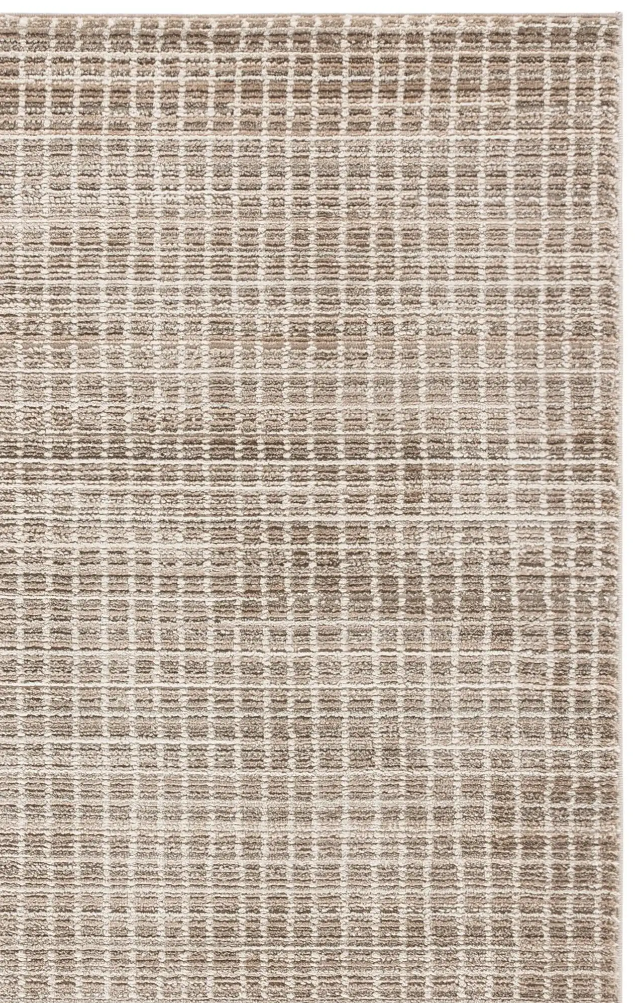 Beige / Ivory