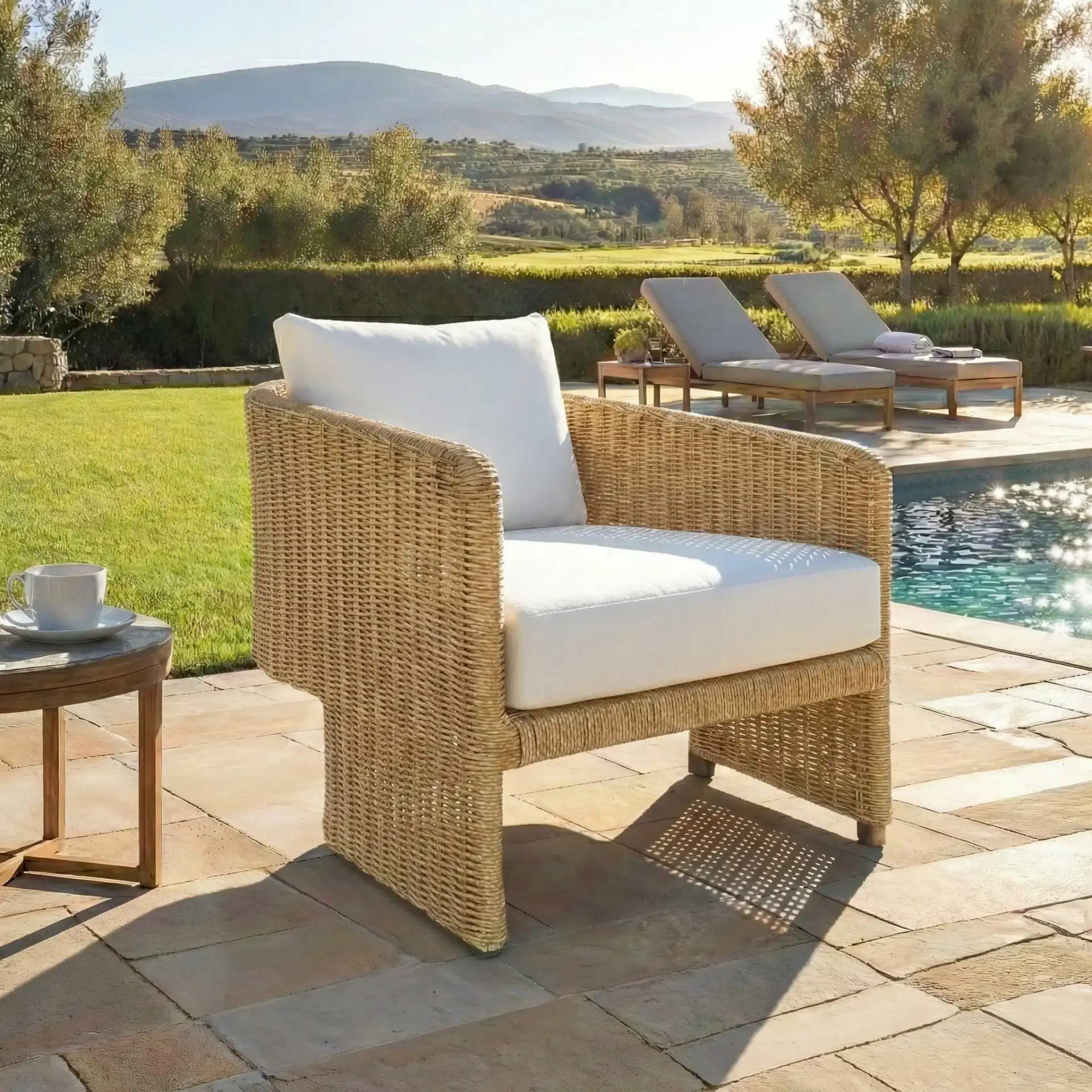 Donya Wicker Patio Chair in Natural / Beige in a styled room