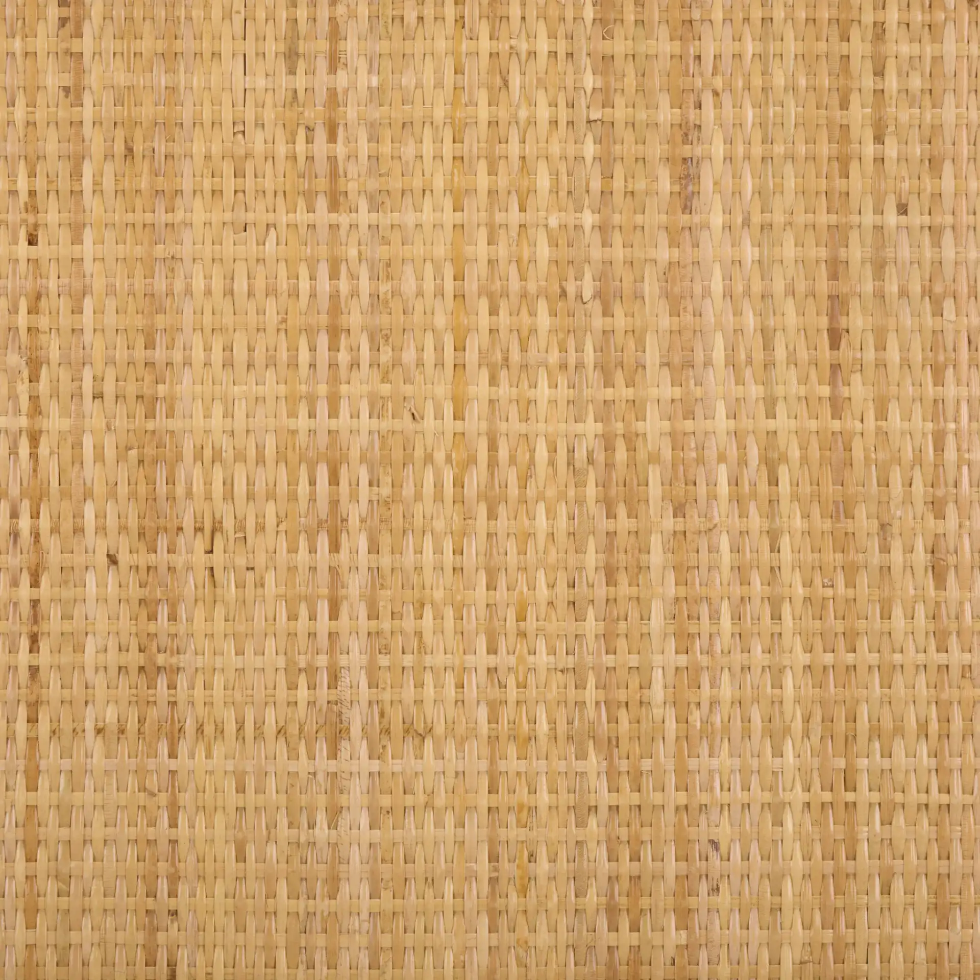 Irena Storage Trunk in Natural / Walnut, detail view