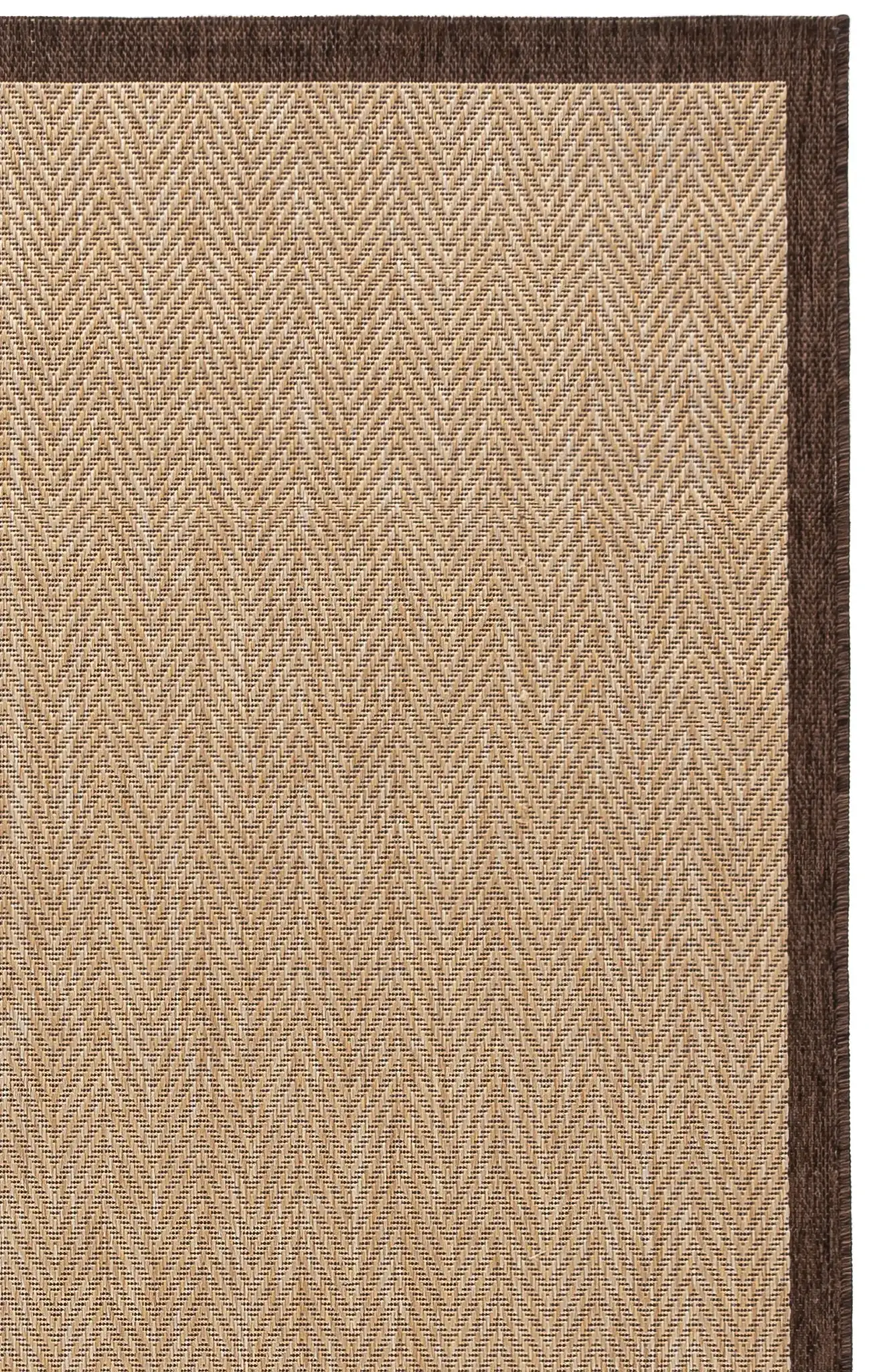 Beige / Dark Green