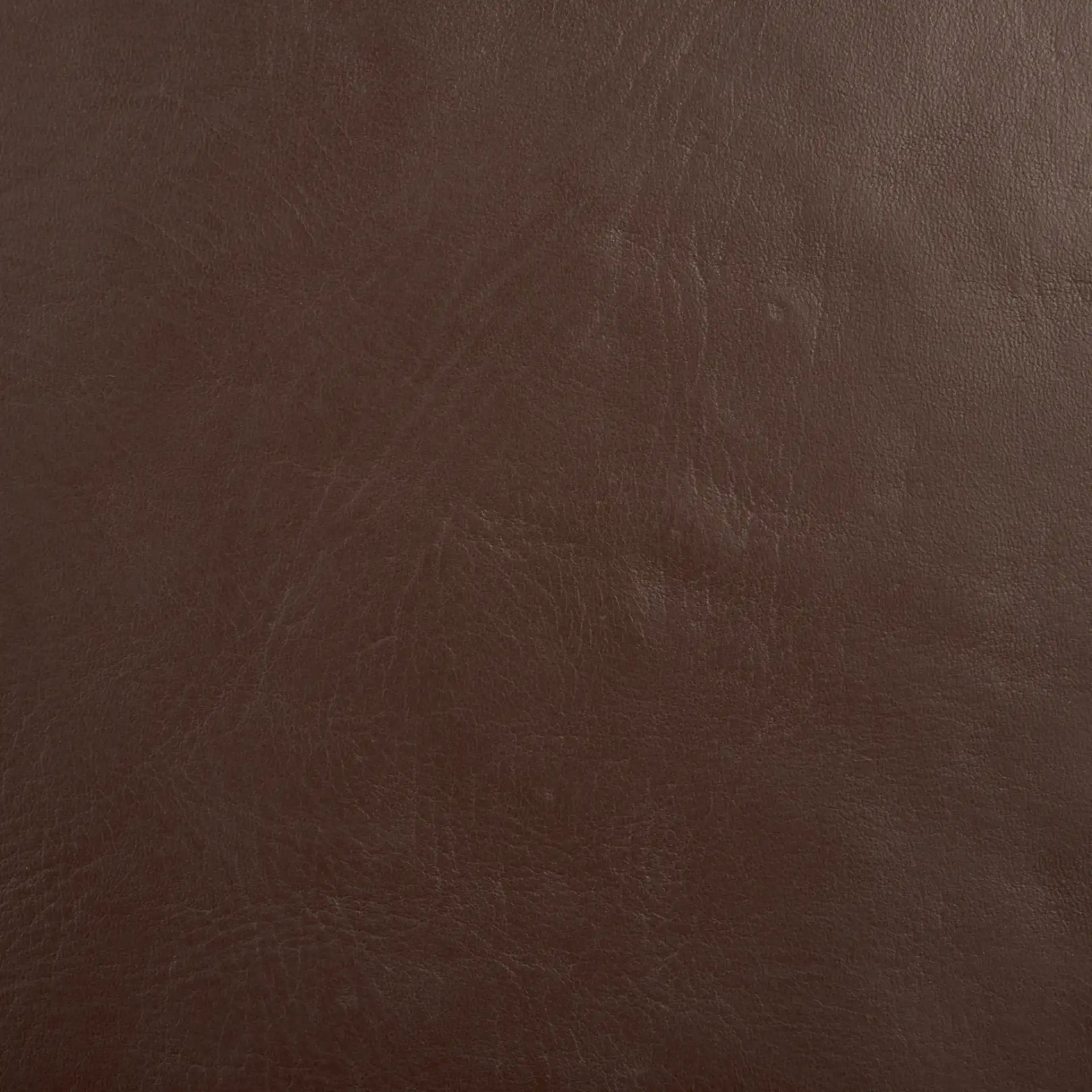 Arian Dining Chair in Cognac / Natural, detail view