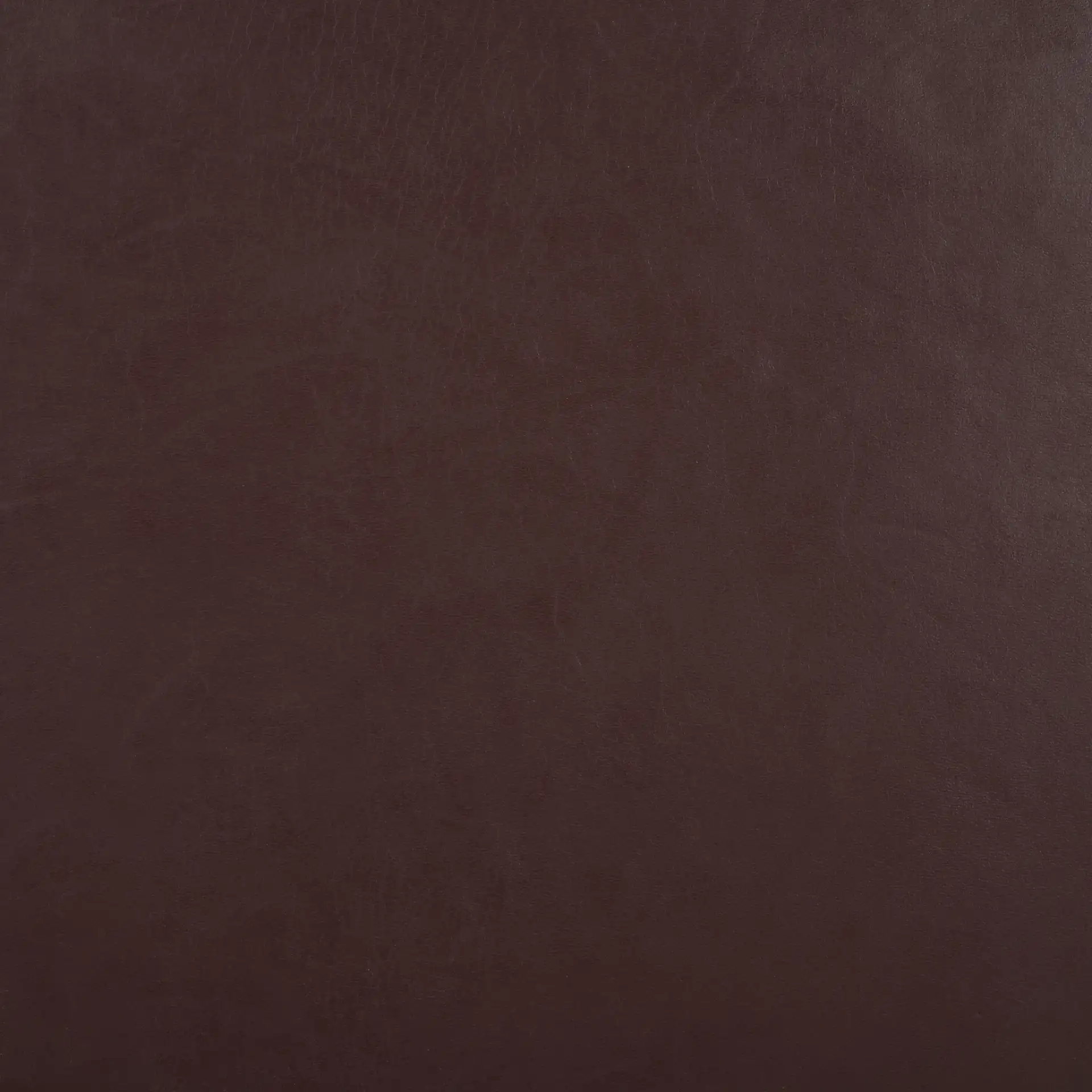 Romee Dining Chair in Cognac / Natural, detail view