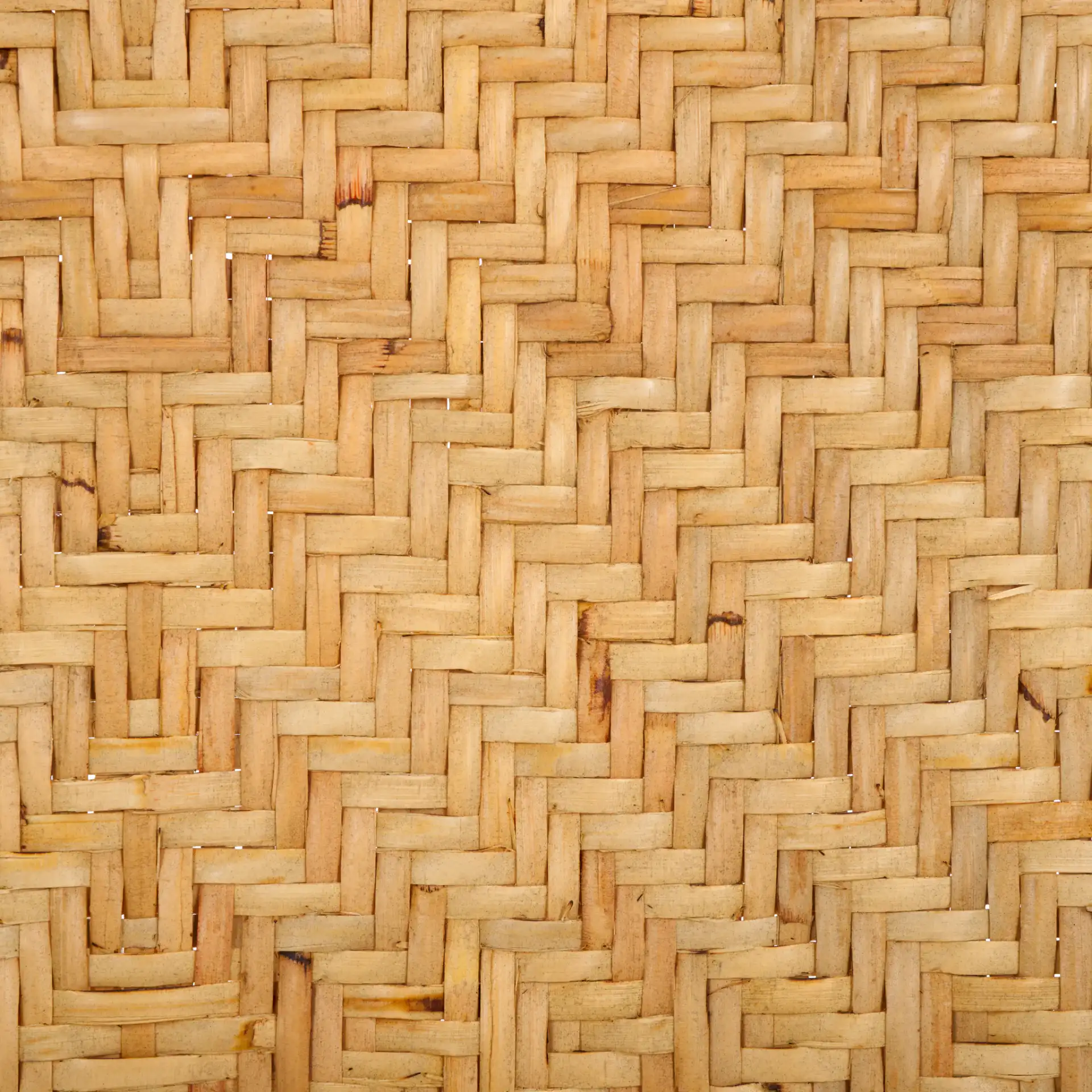 Callidora Dining Chair in Natural / Black, detail view