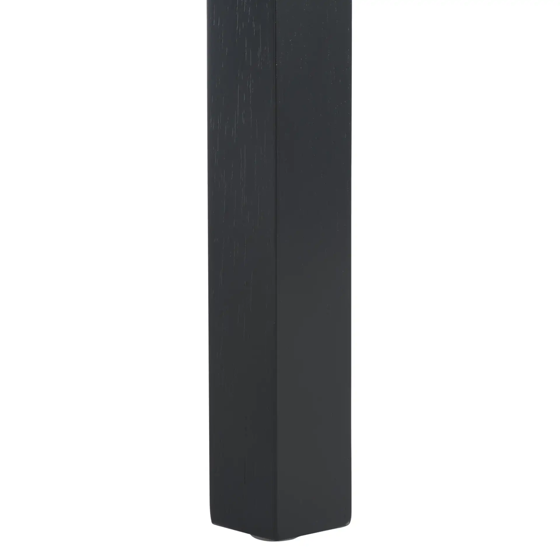 Akash Dining Chair (Set of 2) in Black, detail view