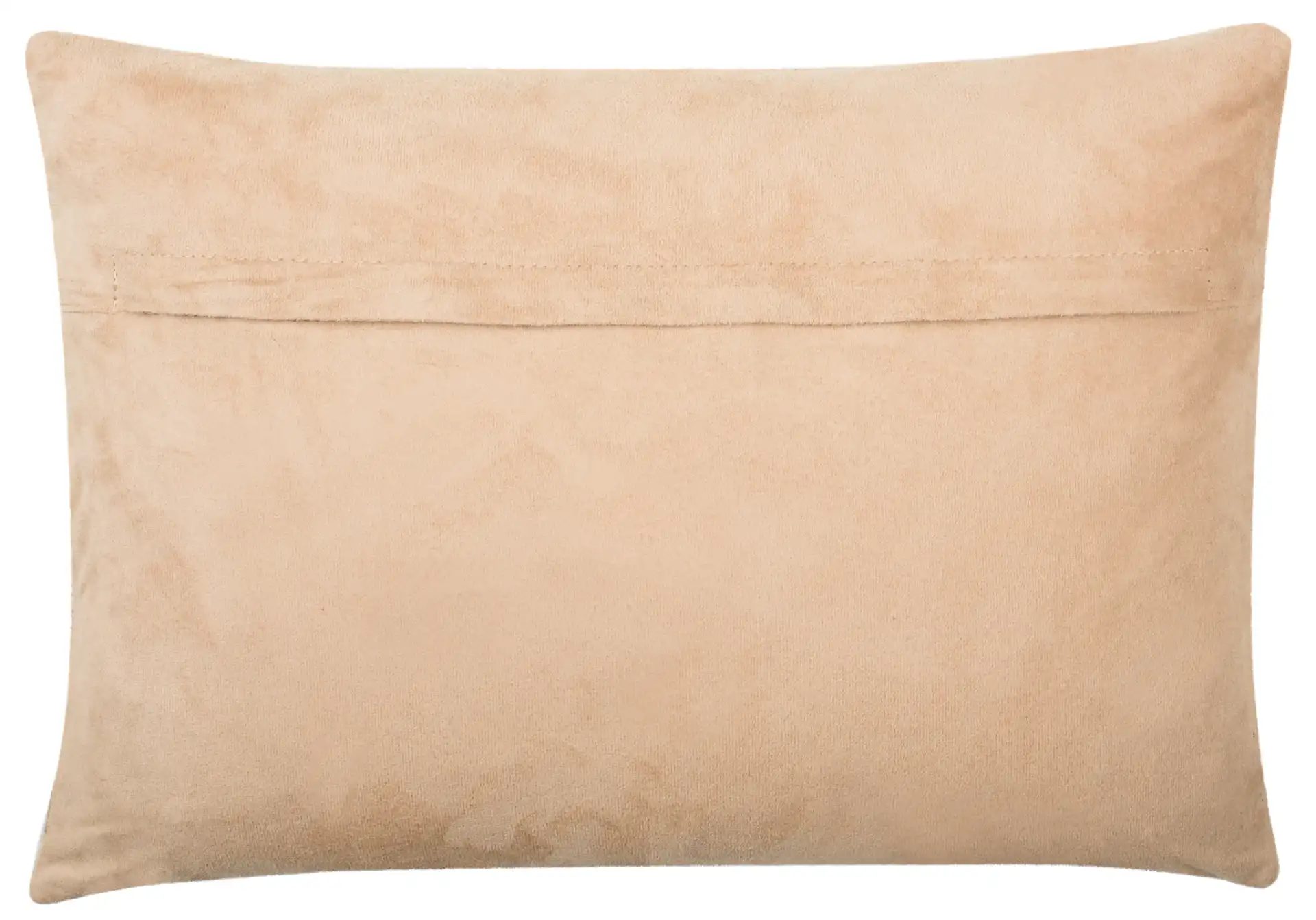 Elita Pillow (Set of 2) in Multi / Cream, detail view