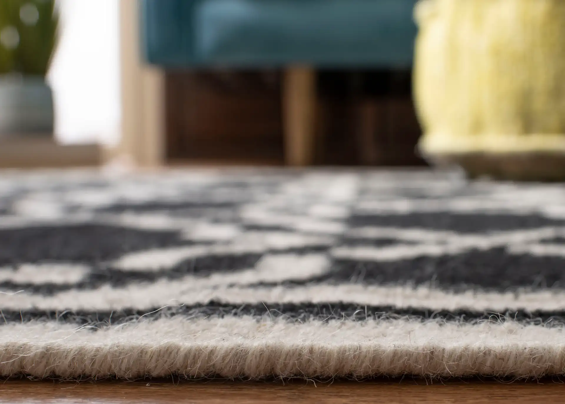Dhurries Bordered Geometric Trellis Hand-Woven Rug in Black / Ivory in a styled room