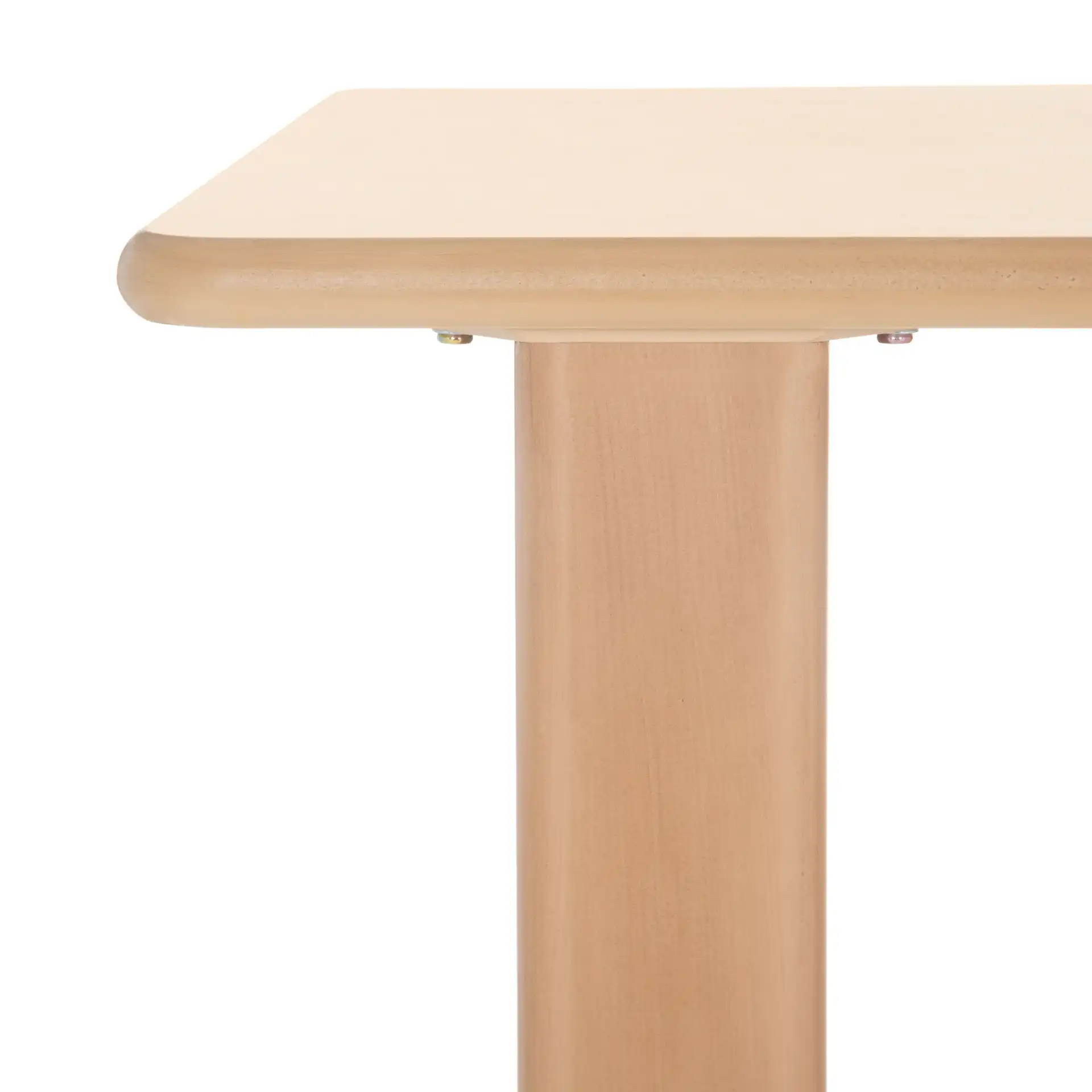 Enyo Dining Table in Natural in a styled room