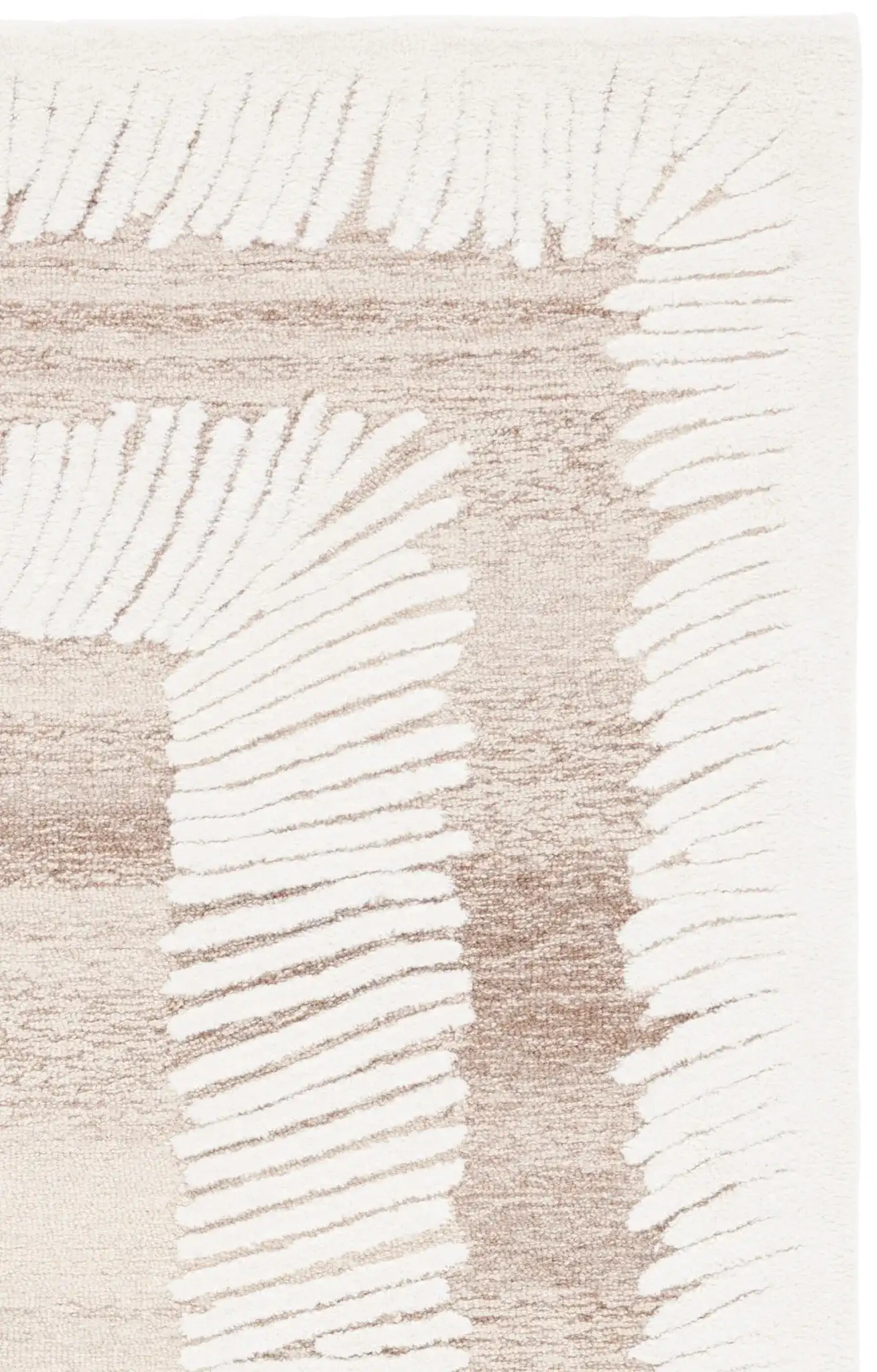 Ivory / Brown