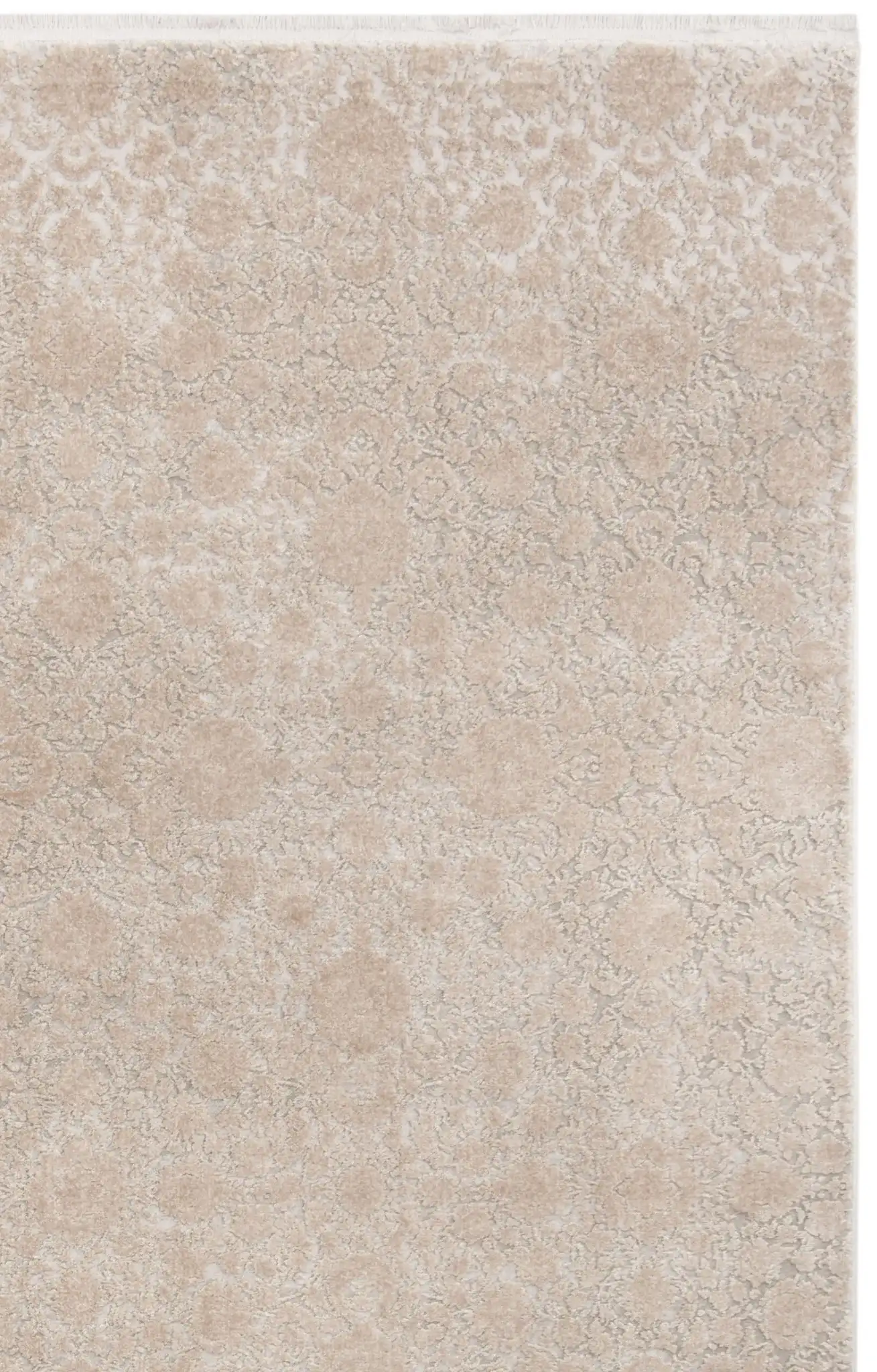 Beige / Light Gray