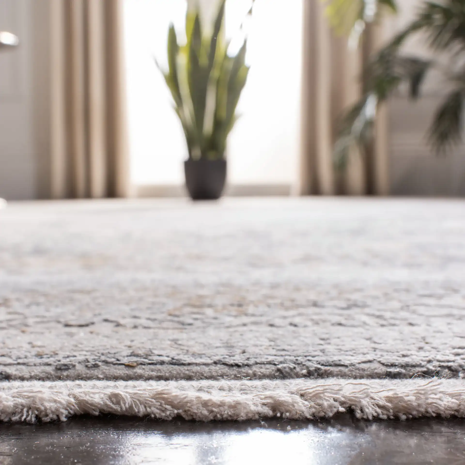Eclipse Medallion Rug in Light Gray / Gray in a styled room