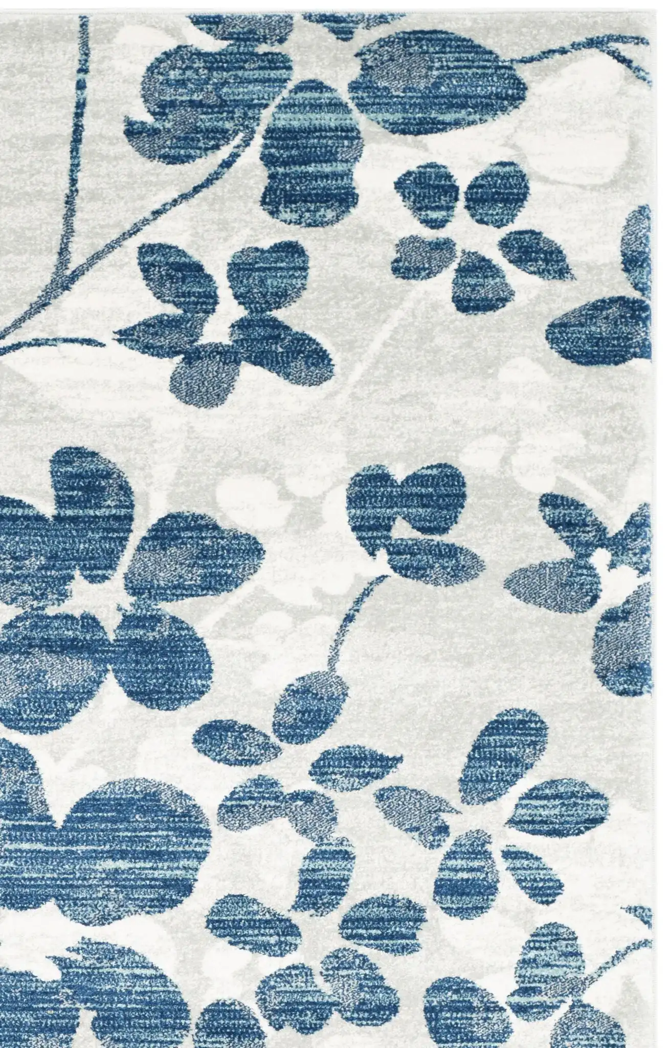 Gray / Light Blue