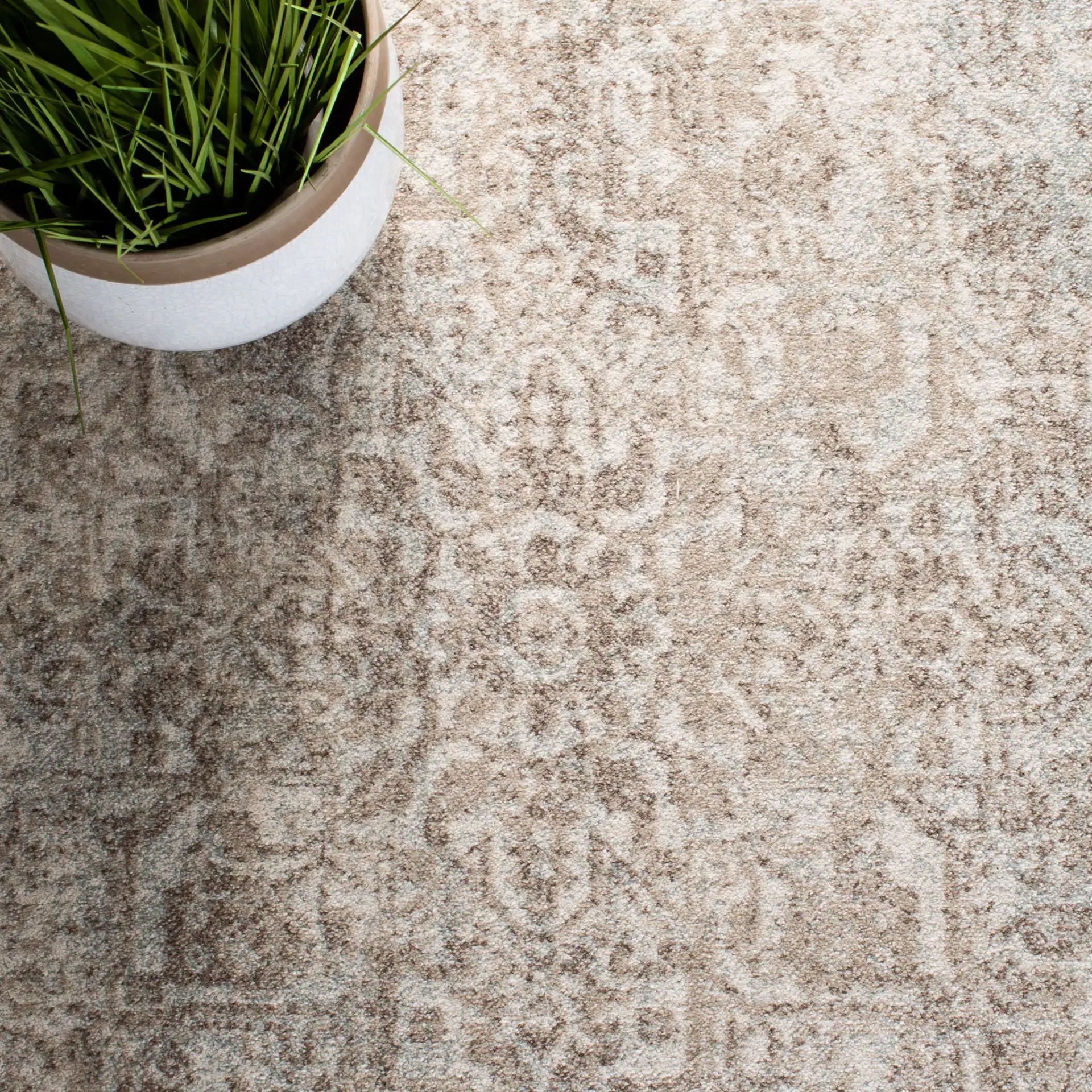 Evoke Distressed Medallion Rug in Ivory / Taupe in a styled room