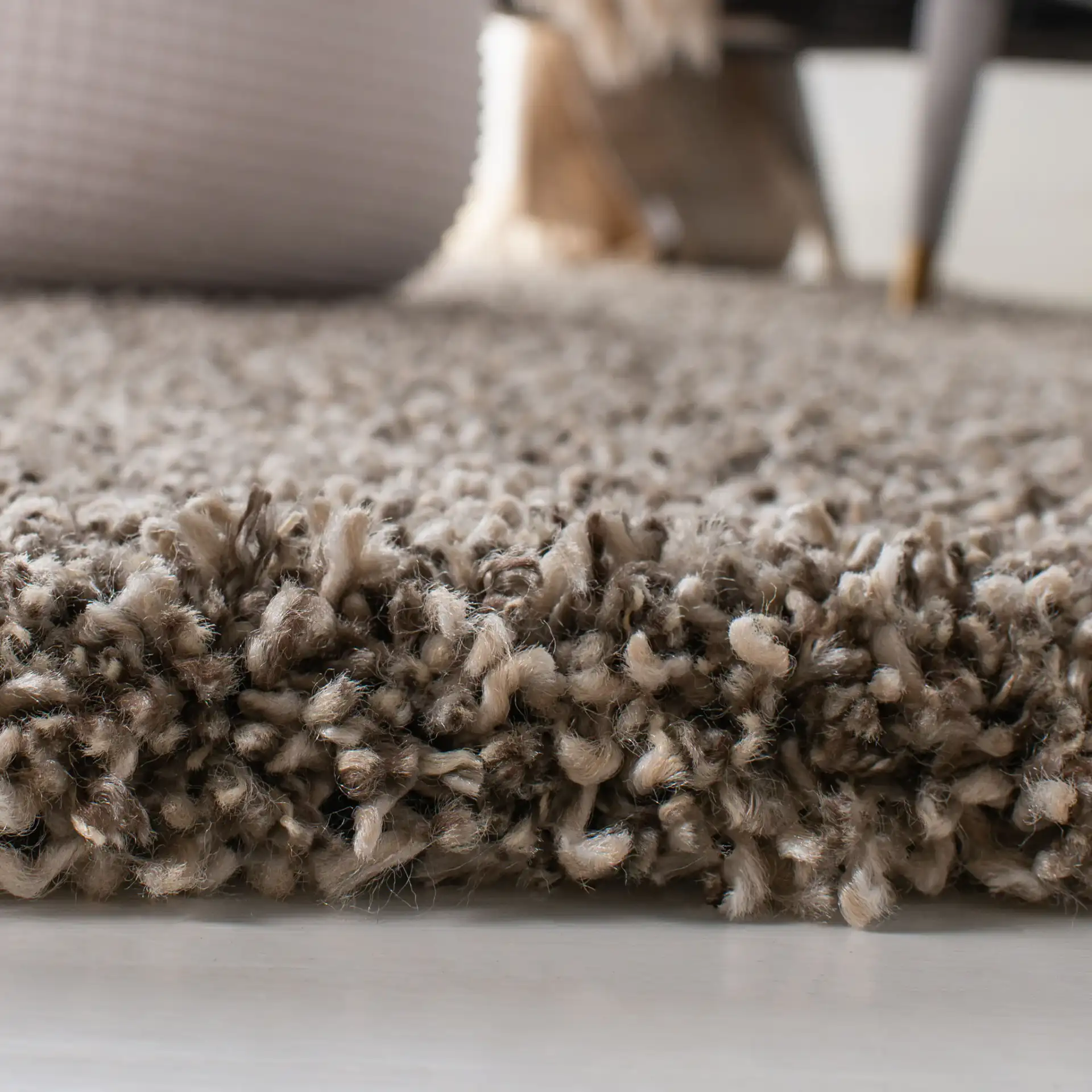 Evolution Solid Shag Rug in Brown in a styled room