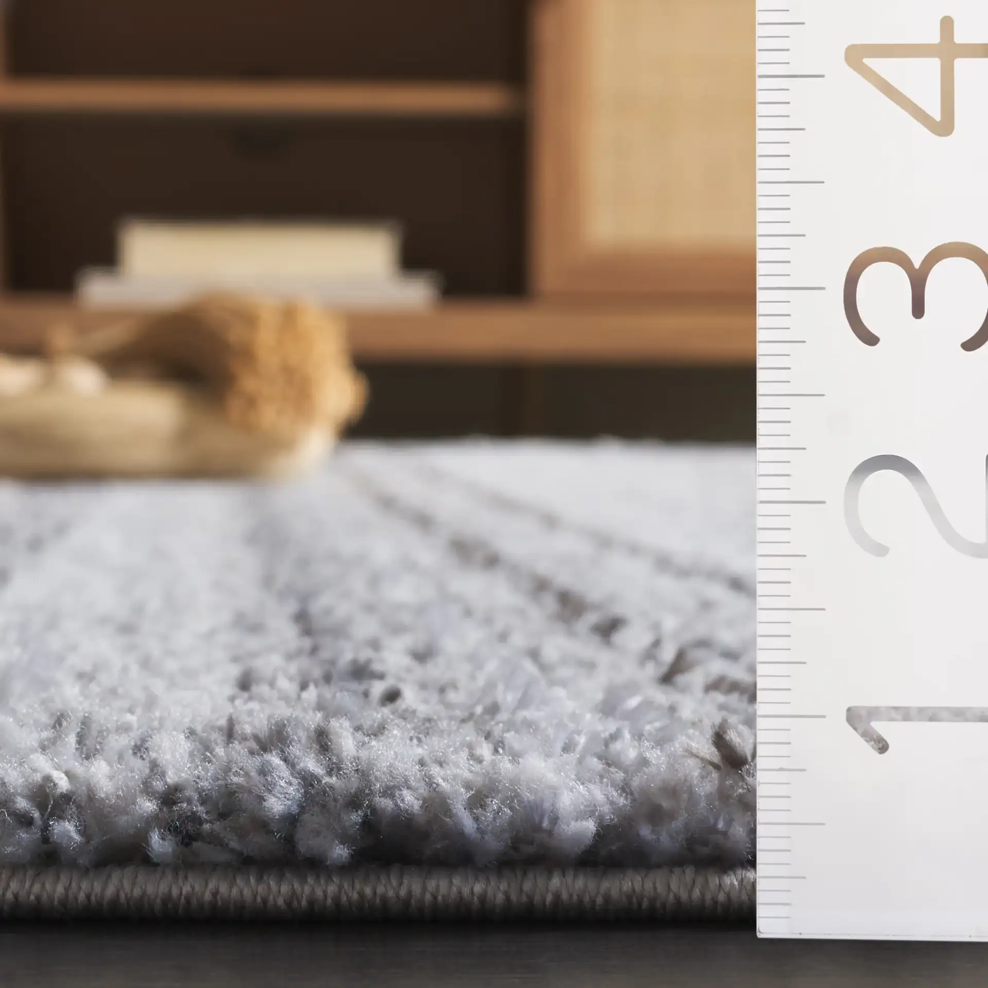 Everett Striated Shag Rug in Gray / Beige in a styled room