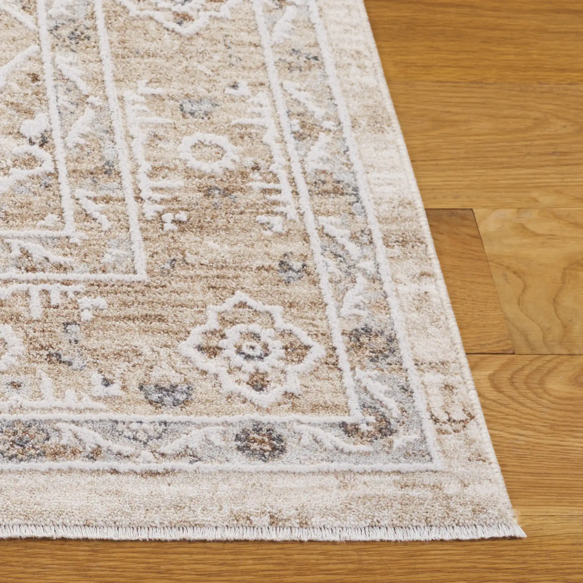 Finley Medallion Bordered Rug in Beige / Ivory in a styled room