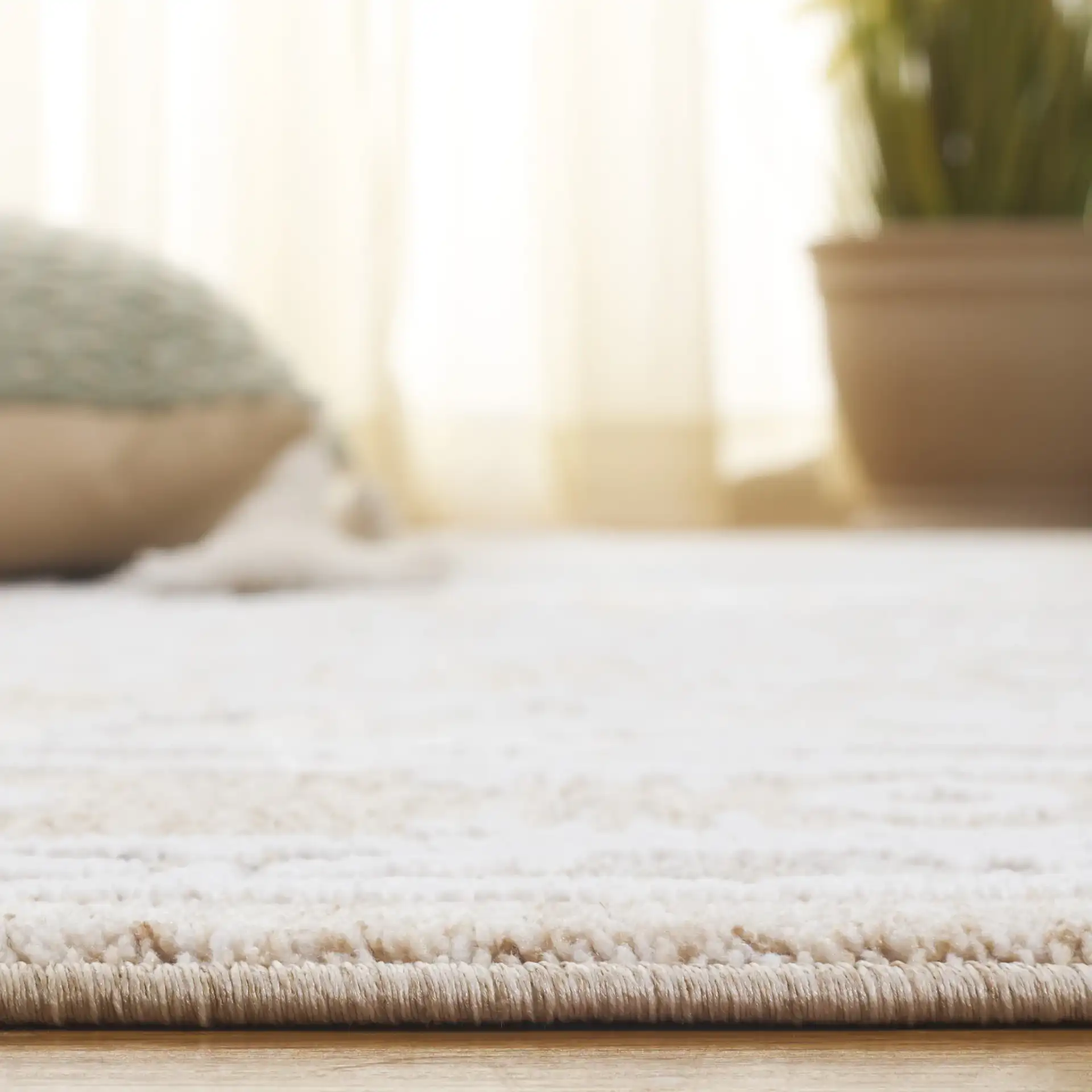 Finley Medallion Bordered Rug in Beige / Ivory in a styled room